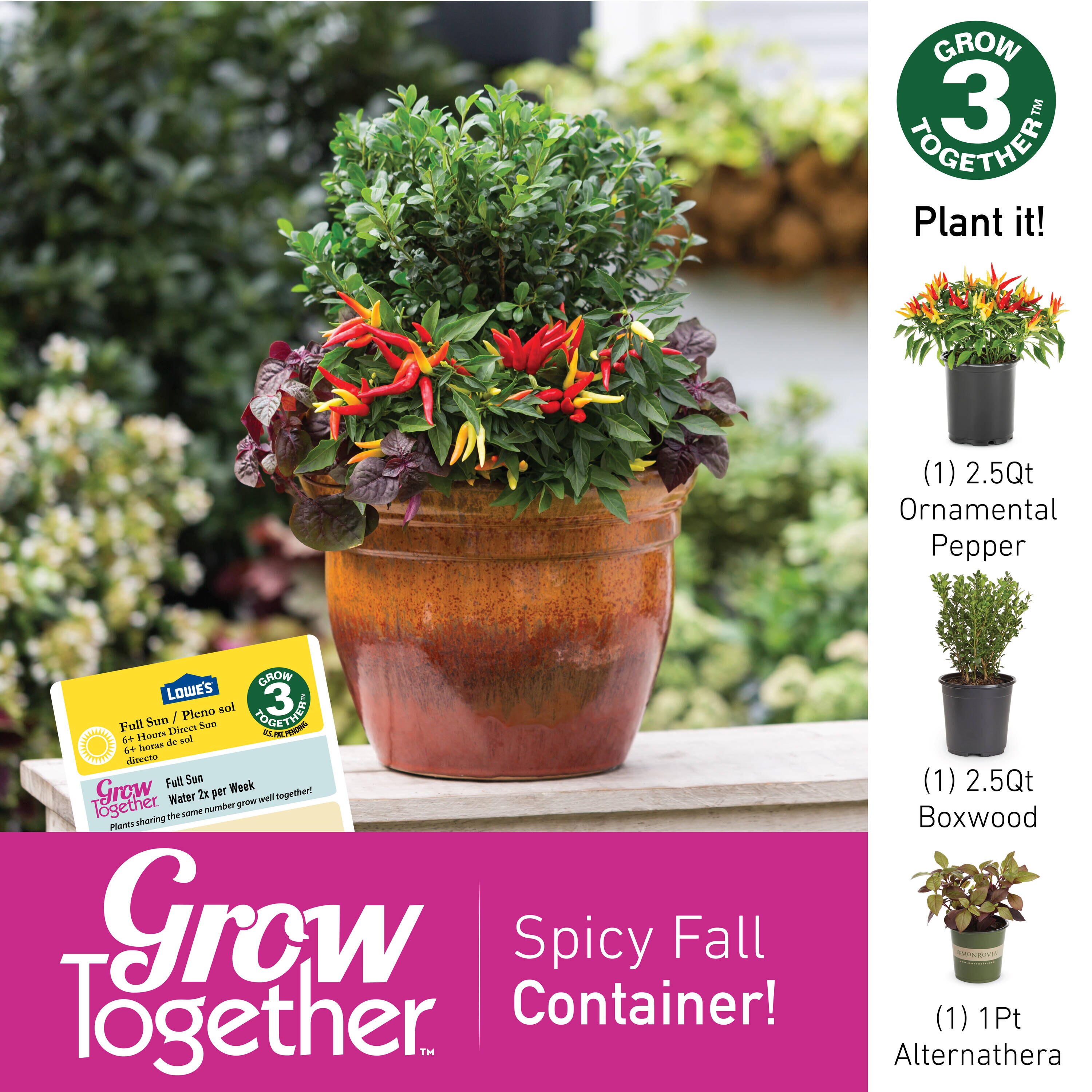 Lowe's 5994153 annuals - View #4