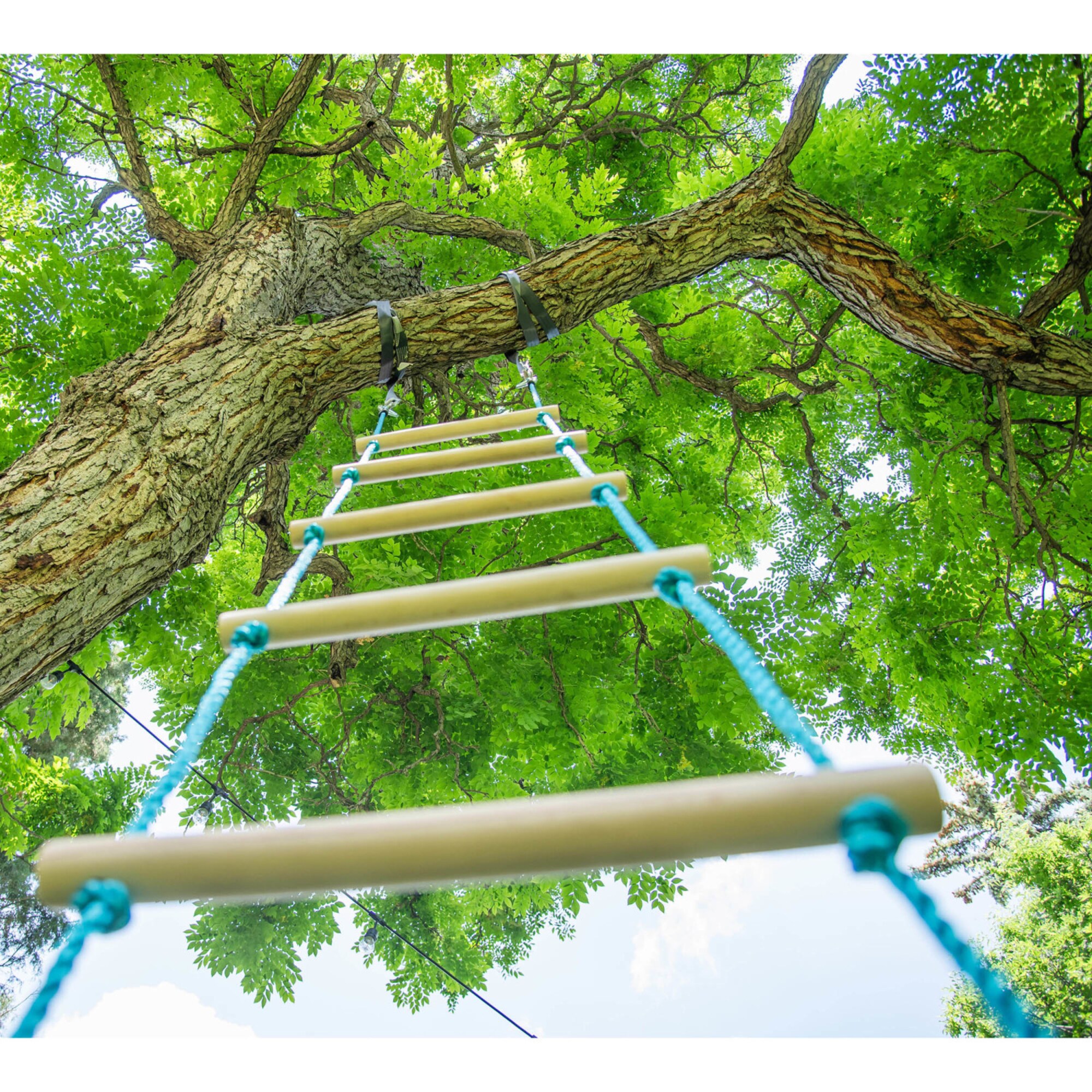 Hape G6943478046276 climbers - View #4