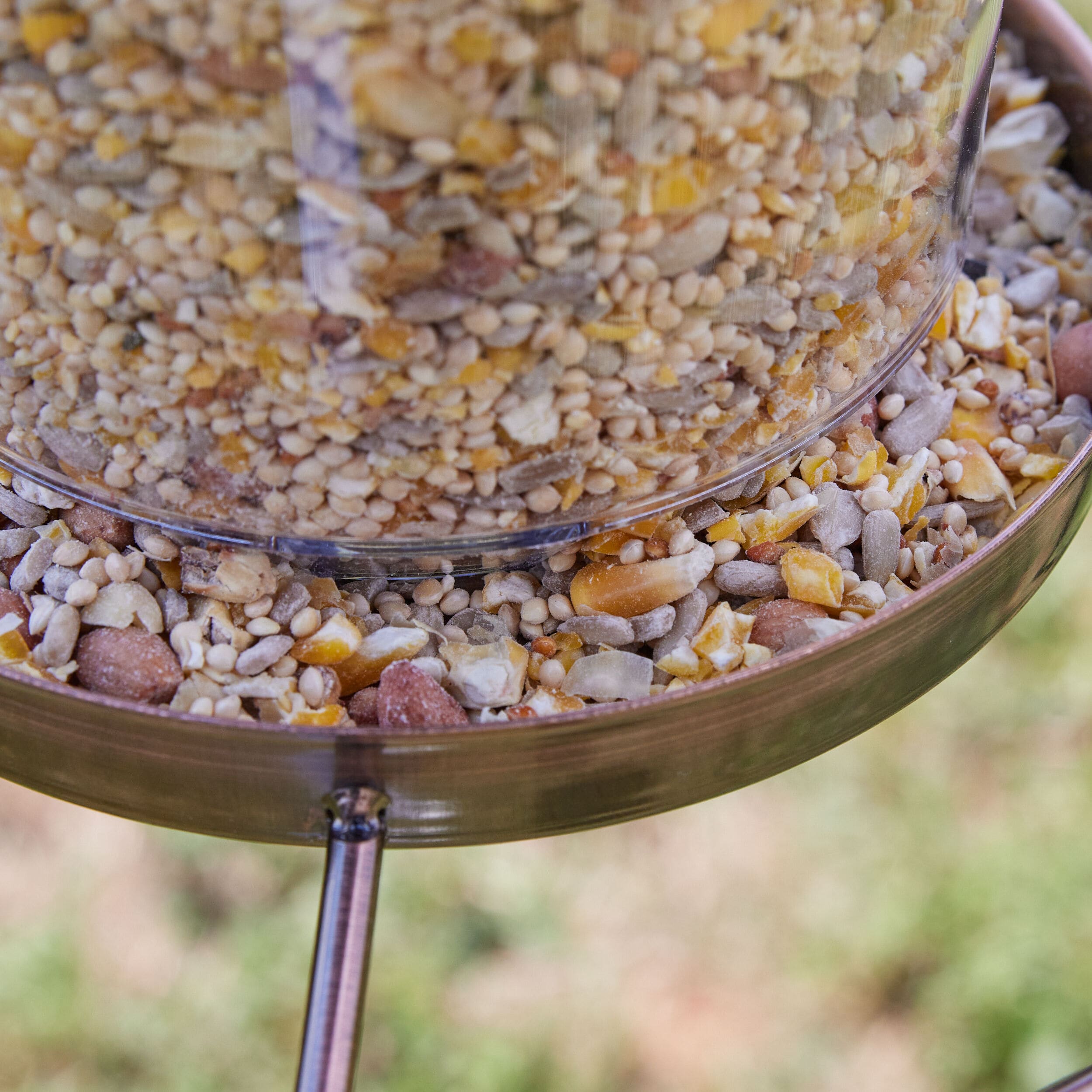 National Audubon Society 009464 Bird-Squirrel-Food - View #2
