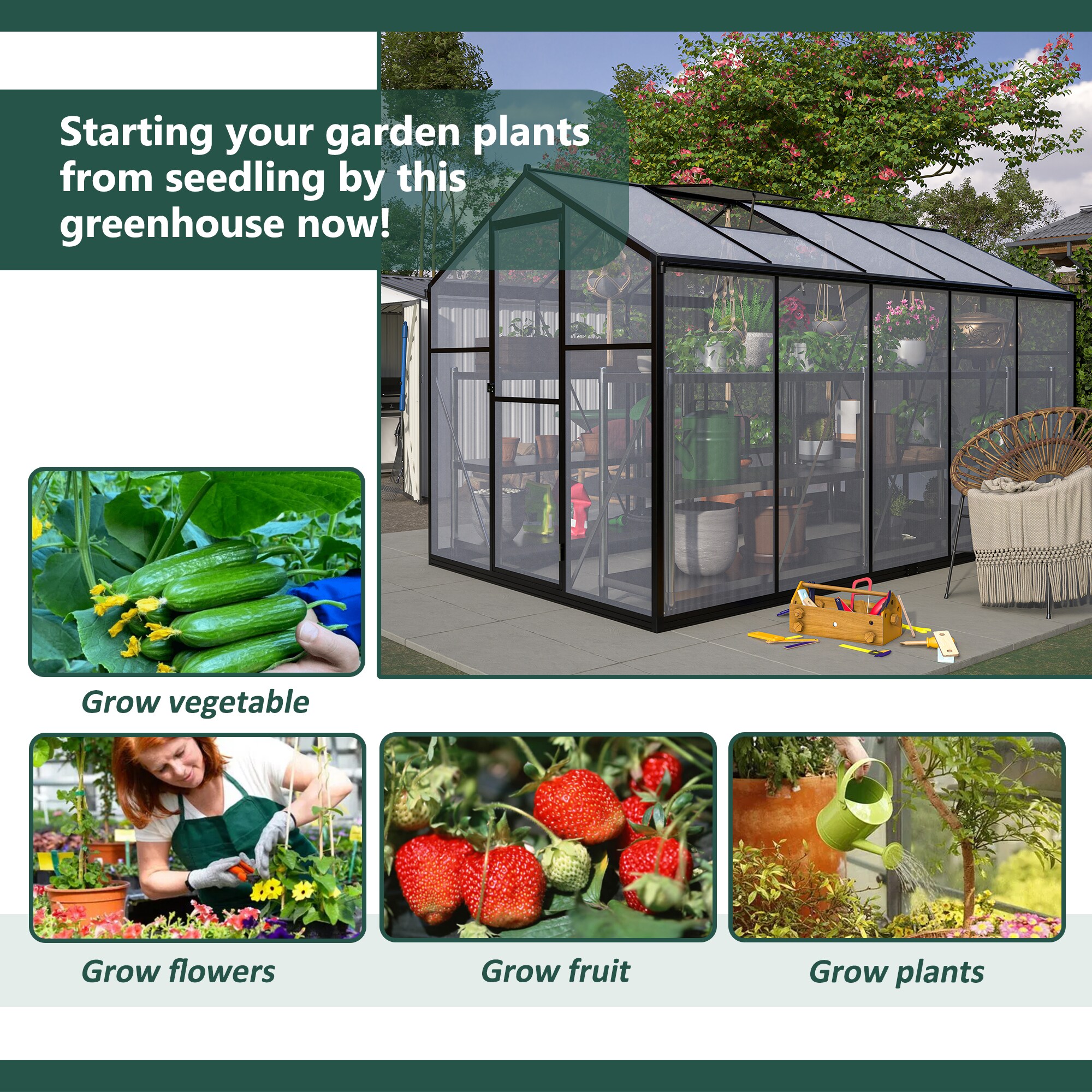 Anysun AS-PGG1M01059-W0 greenhouses - View #6