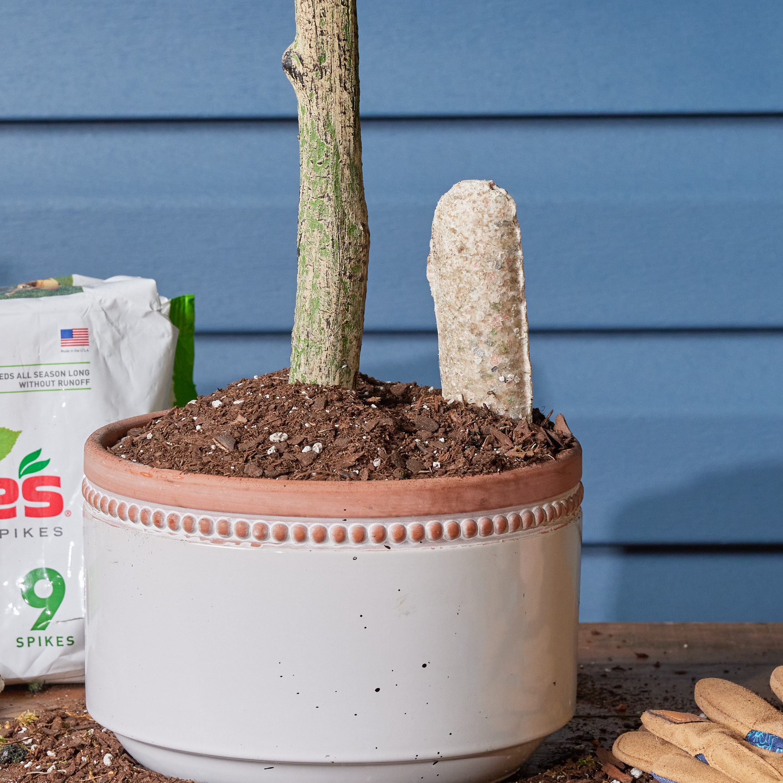 Jobe's Jobe's Tree and Shrub 9-Count Spikes Tree Food in the Plant Food  department at