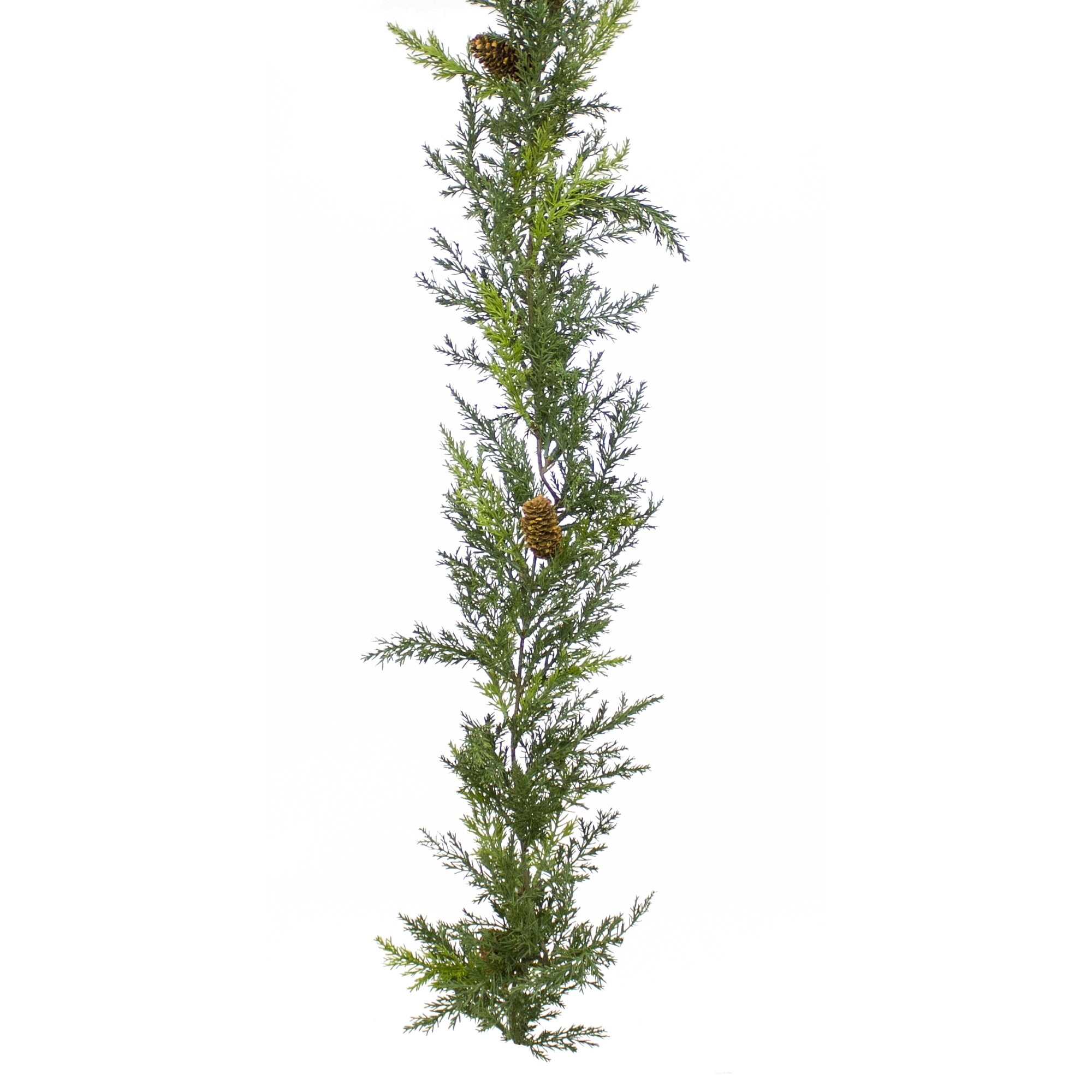 Cypress Artificial Christmas Garland at Lowes.com