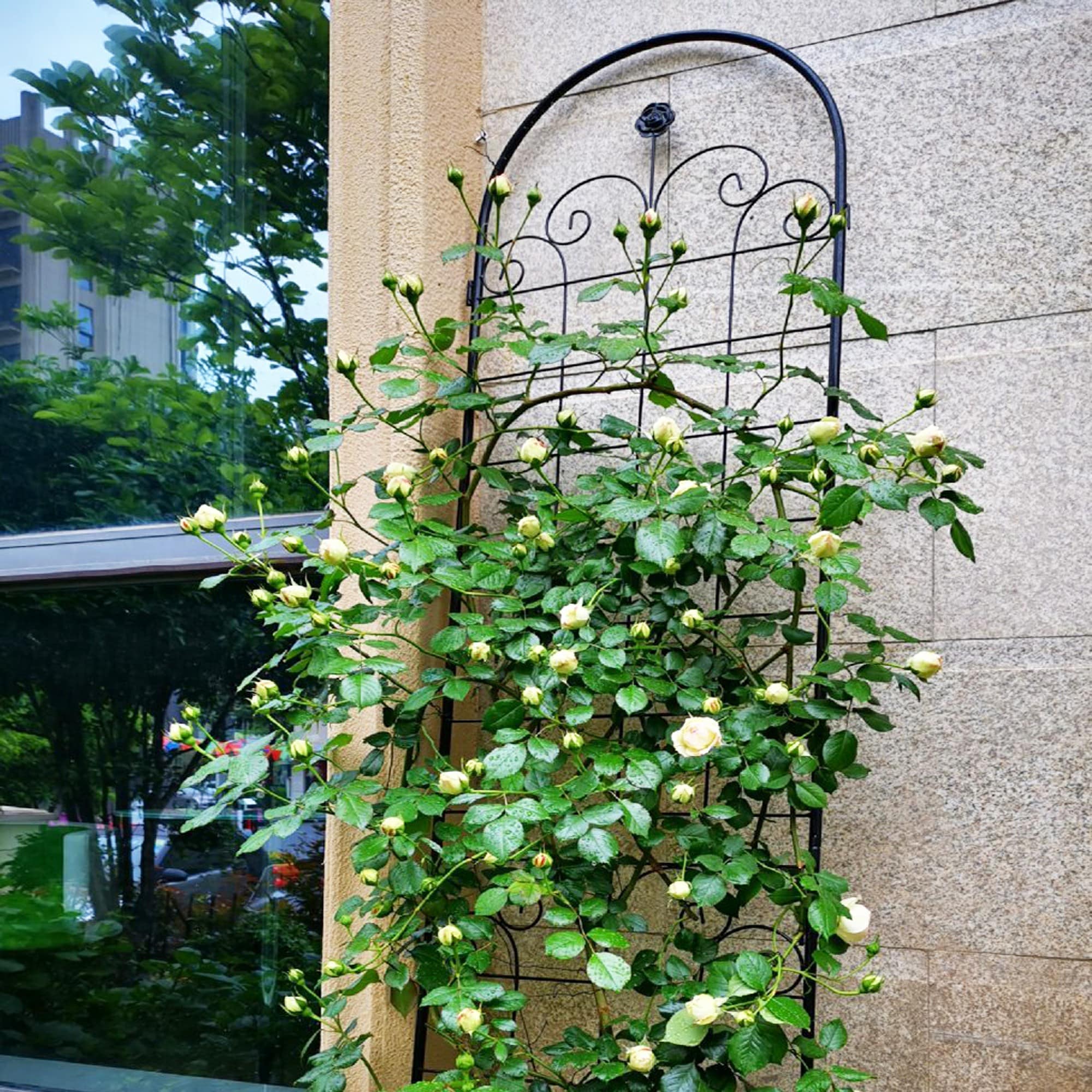 Runesay GARPOTPL-21 Arbor-Trellis-Accessories - View #5