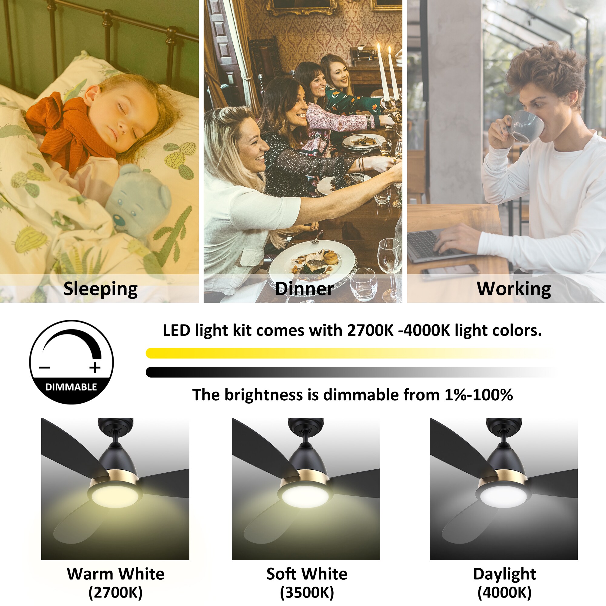 CARRO USA LS523Q7-L12-B2-1 Ceiling-Fans - View #6