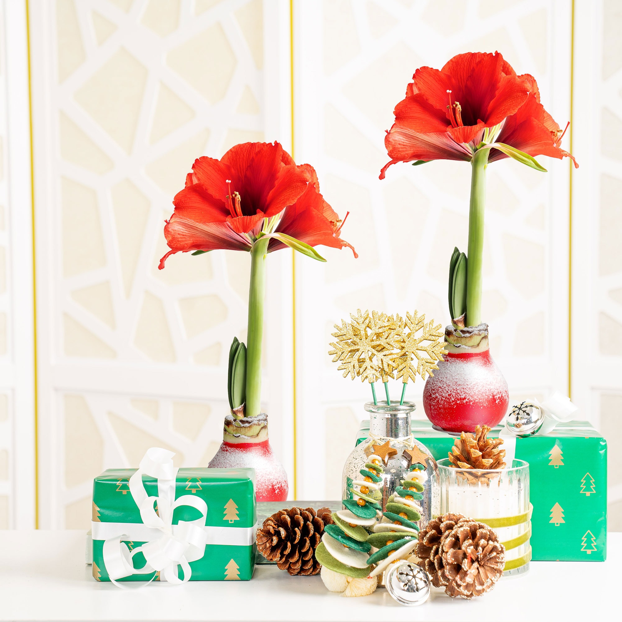 Costa Farms S-AMA-BUL-RED-02-LW Fresh-Cut-Christmas-Decorations - View #3
