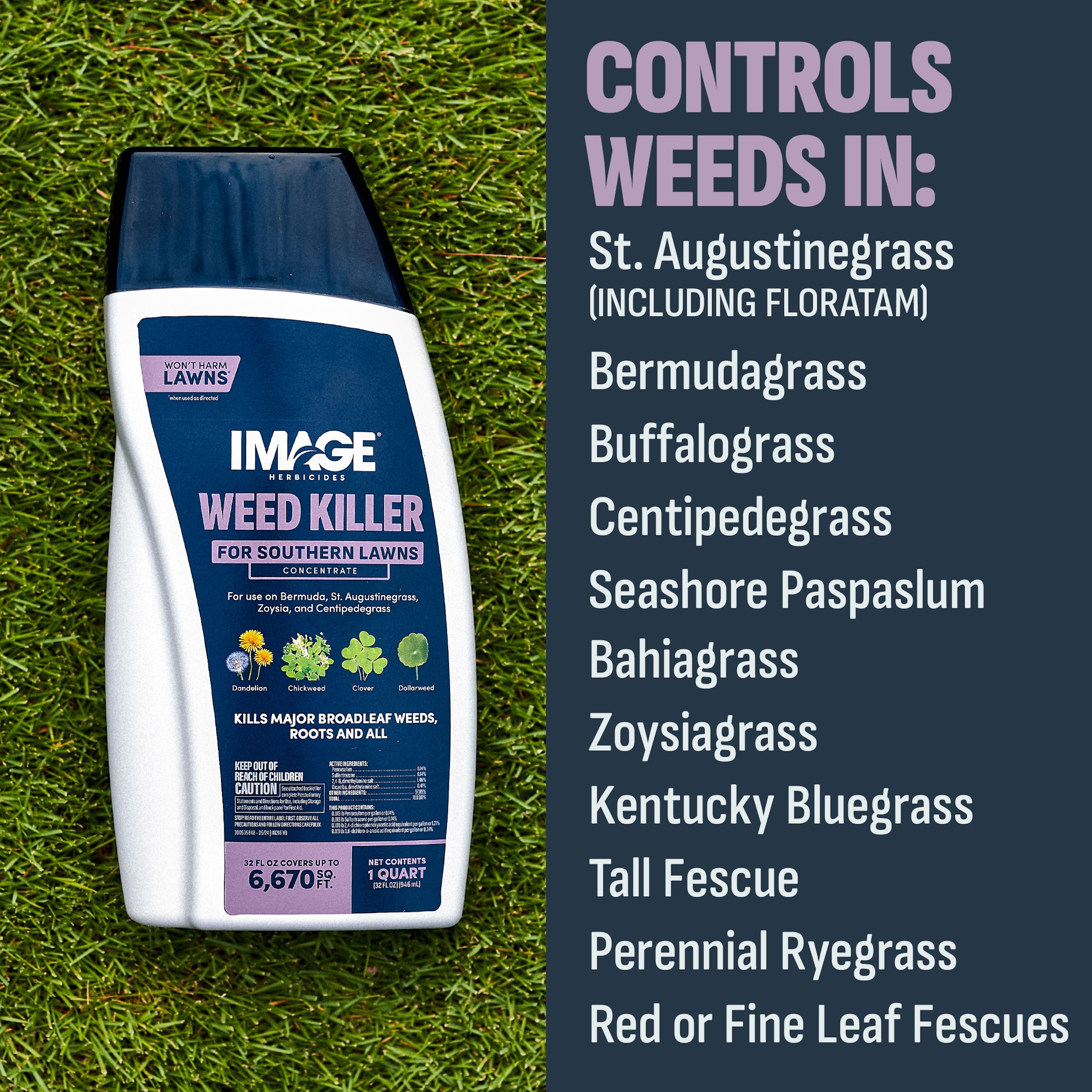 IMAGE 1357600426 Weed-Killers - View #7