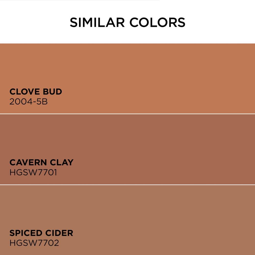 Terracotta Color: What Is It And How Do You Use It?