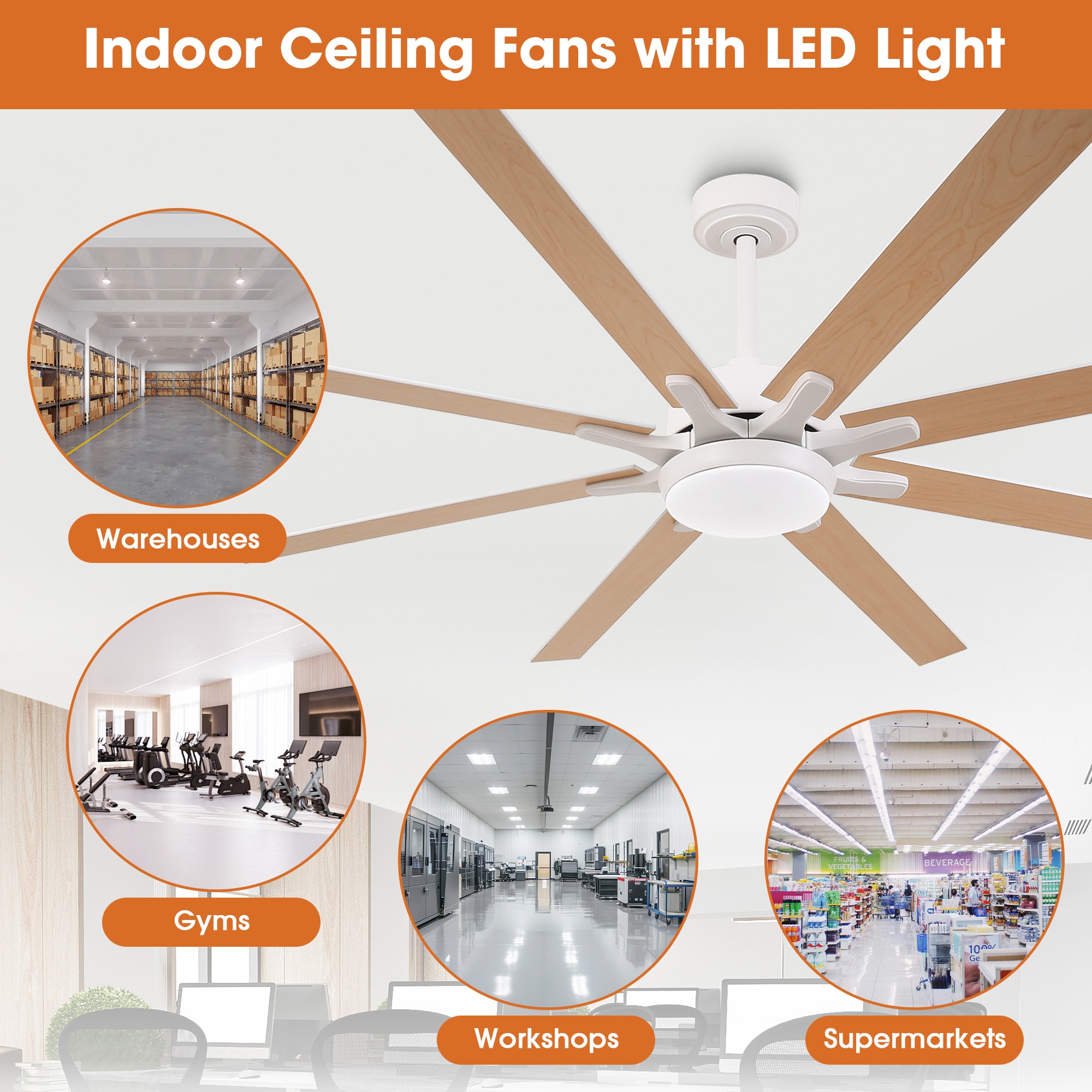 Parrot Uncle F8261WH110V Ceiling-Fans - View #10