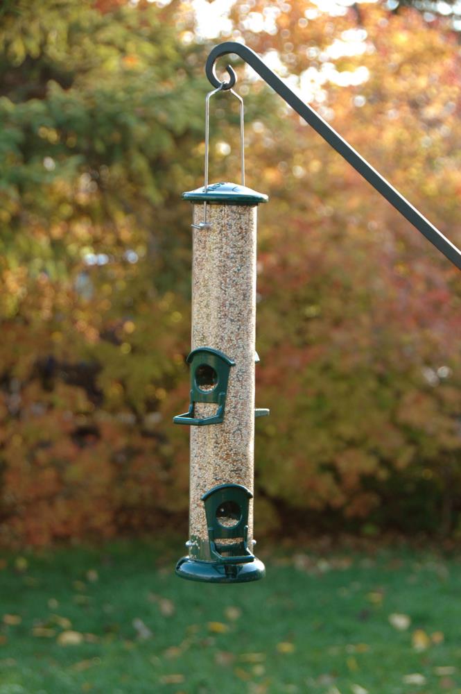 Woodlink Metal Hanging Tube Bird Feeder- 1-lb 24571 at Lowes.com