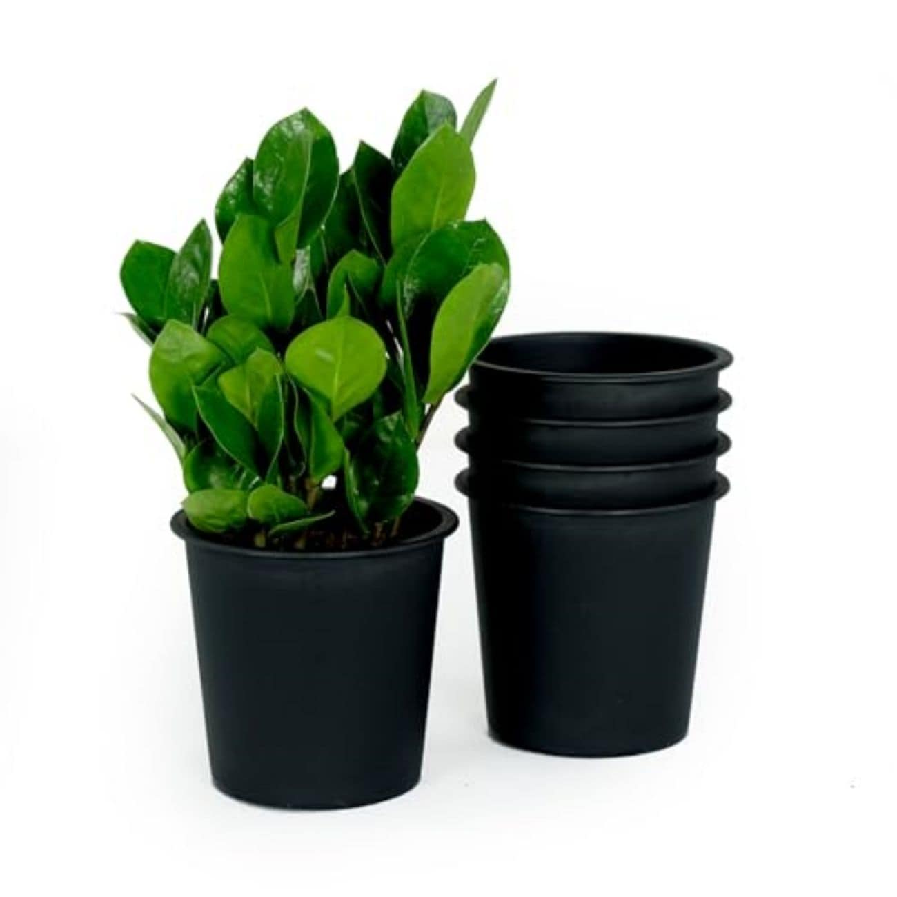 Siavonce XH44649 6.0-in W x 6-in H x 6-in D Black Plastic Indoor/Outdoor Planter
