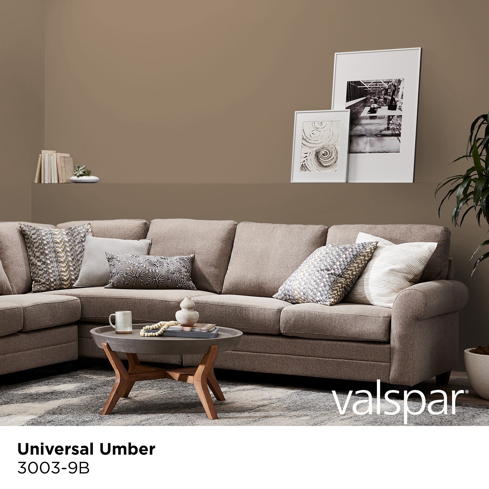 Valspar 3003-9B-773975 Int-Ext-Paint - View #2
