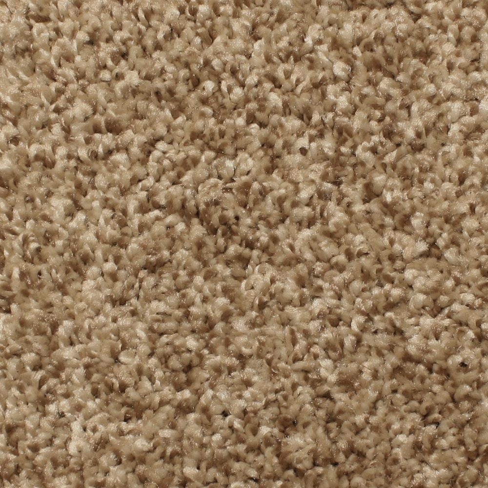 STAINMASTER FB039-311-S (Sample) Coquina Rocky Path Brown 39.0-oz sq yard Polyester Textured Indoor Carpet