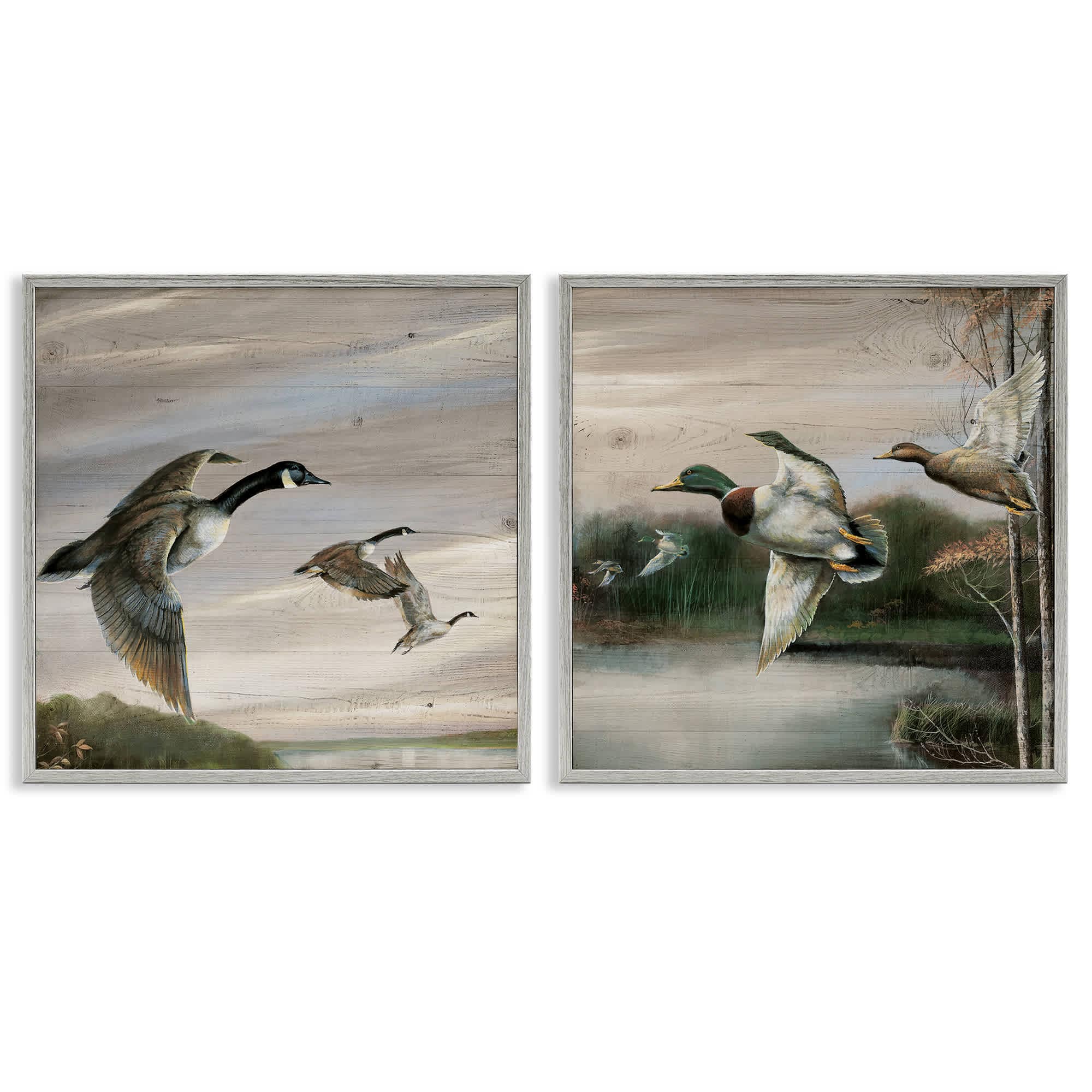 Stupell Industries B2-735-GFF-2PC-17X17 Geese and Ducks in Nature 2pc Framed Giclee Set design by Ruane Manning