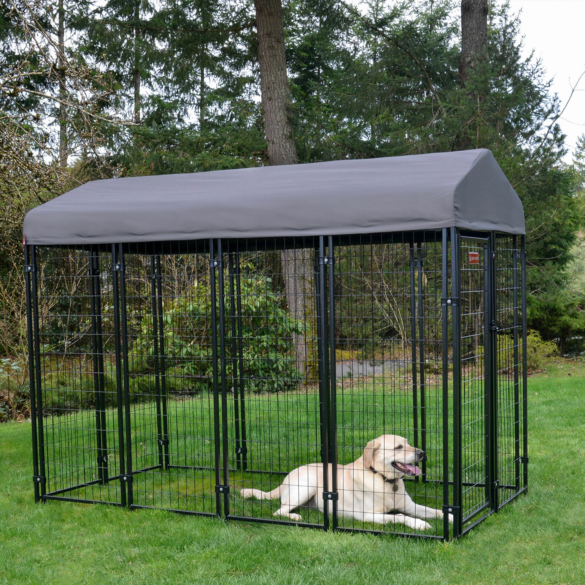 Lucky Dog Medium 26 40 lb Polyester Dog Kennel Roof Outdoor 8 ft L x 4 ft W x 6 ft H 268851 at Lowes