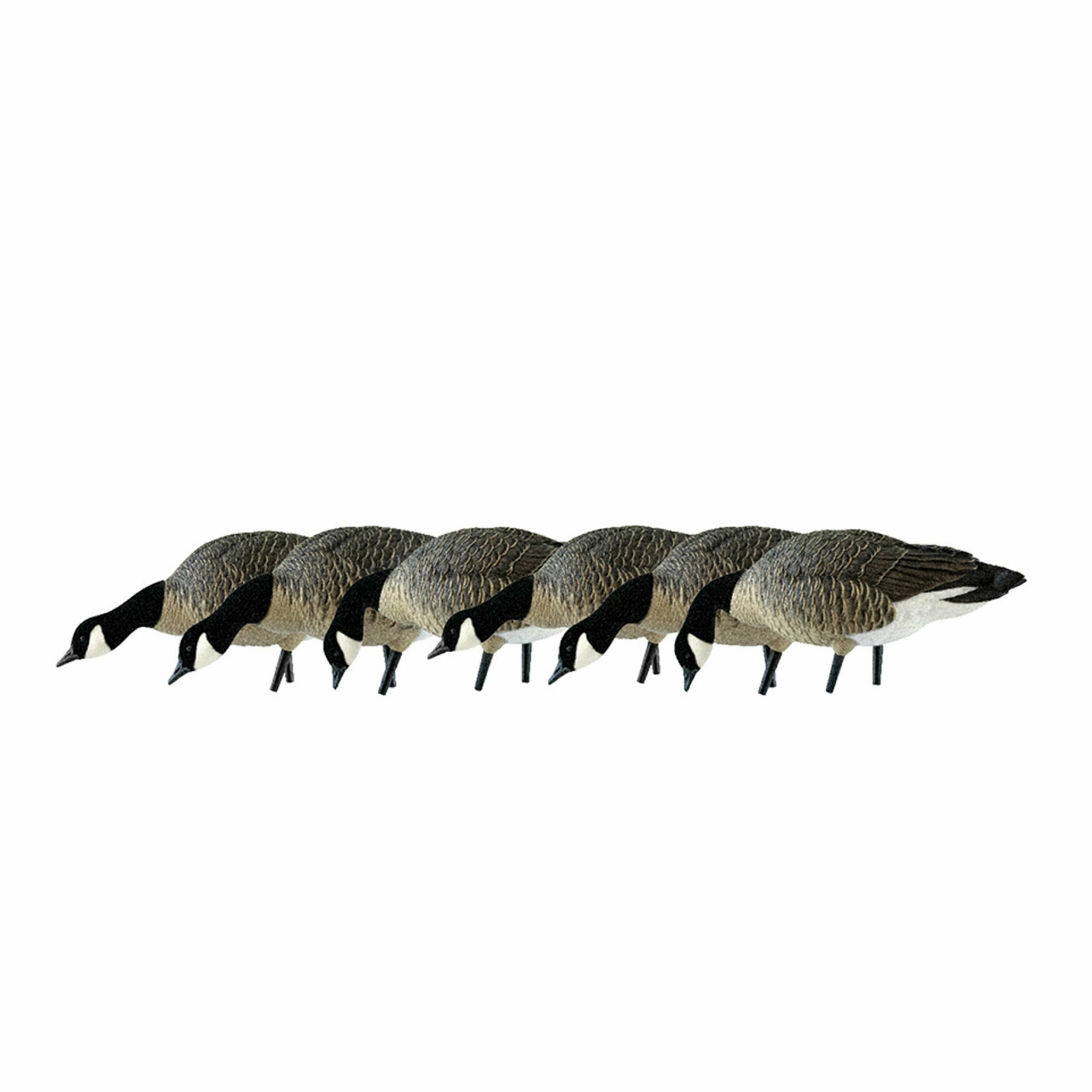  Avian X 399278 29 x 19 x 16 Inche(s) Decoy 6 -Pack