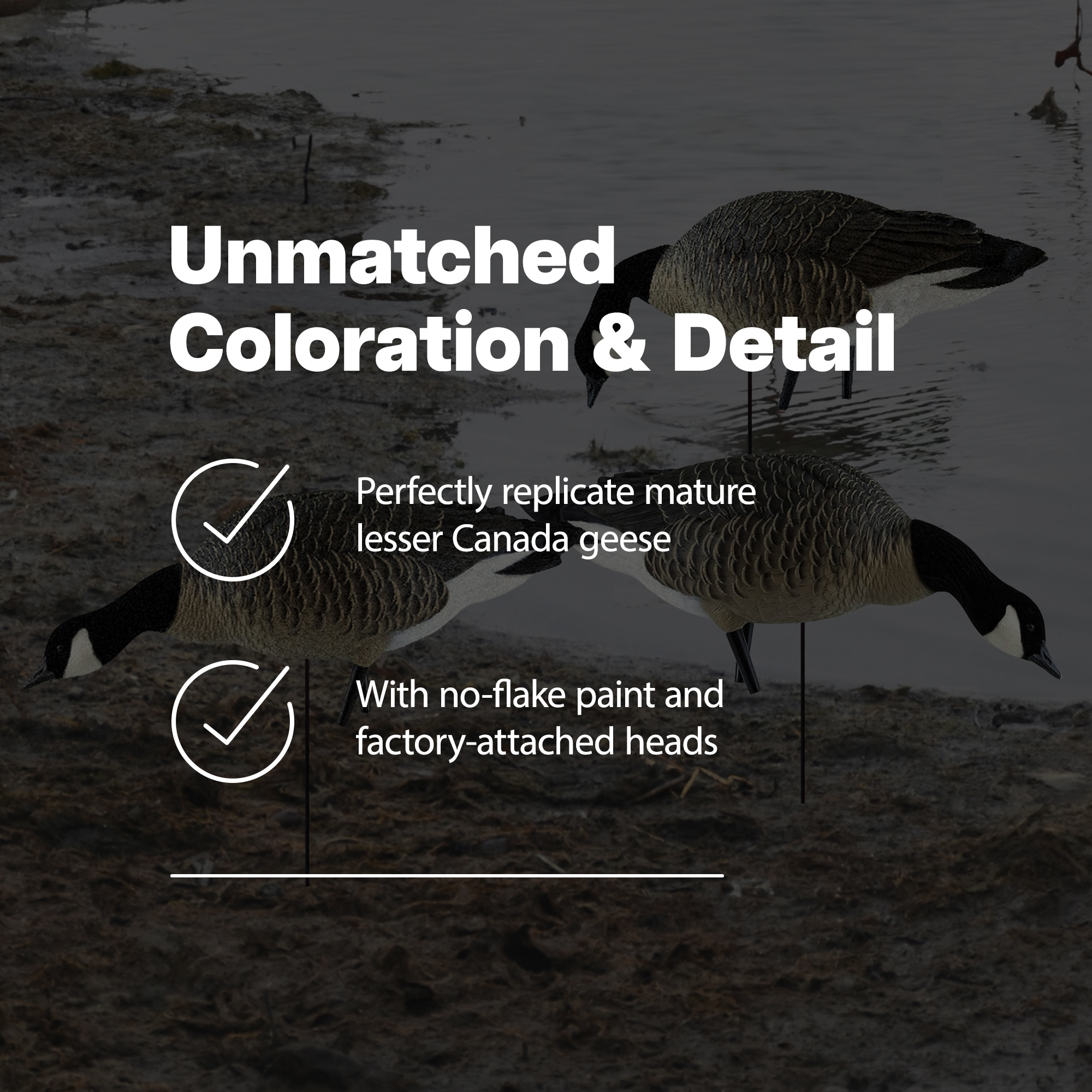  Avian X 408538 Hunting-Equipment - View #3