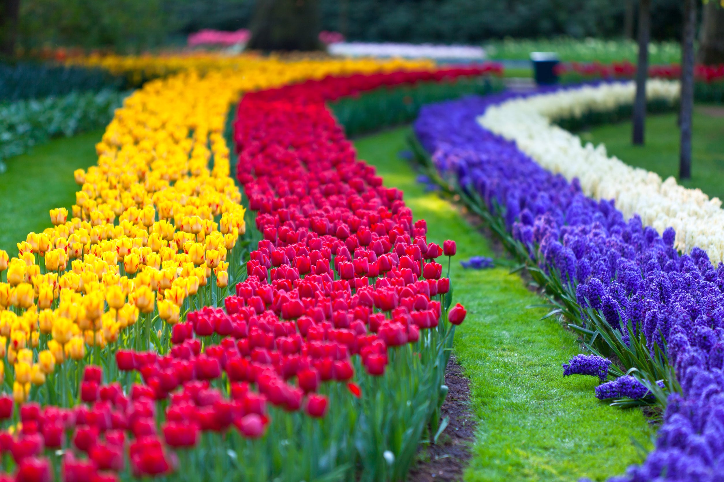  1746 annuals - View #4