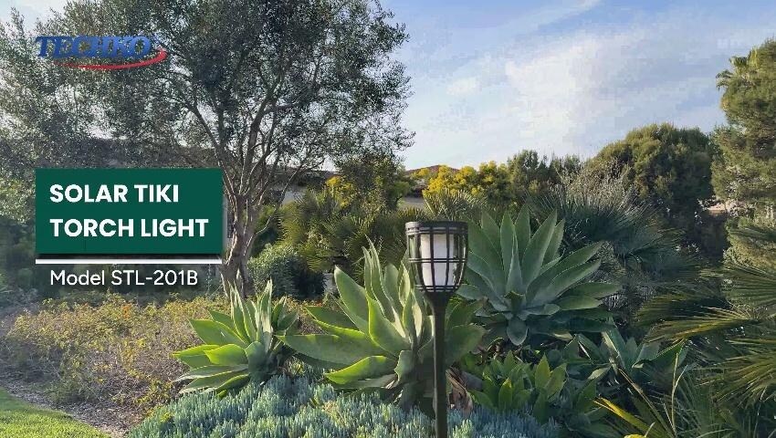 A thumbnail for the video