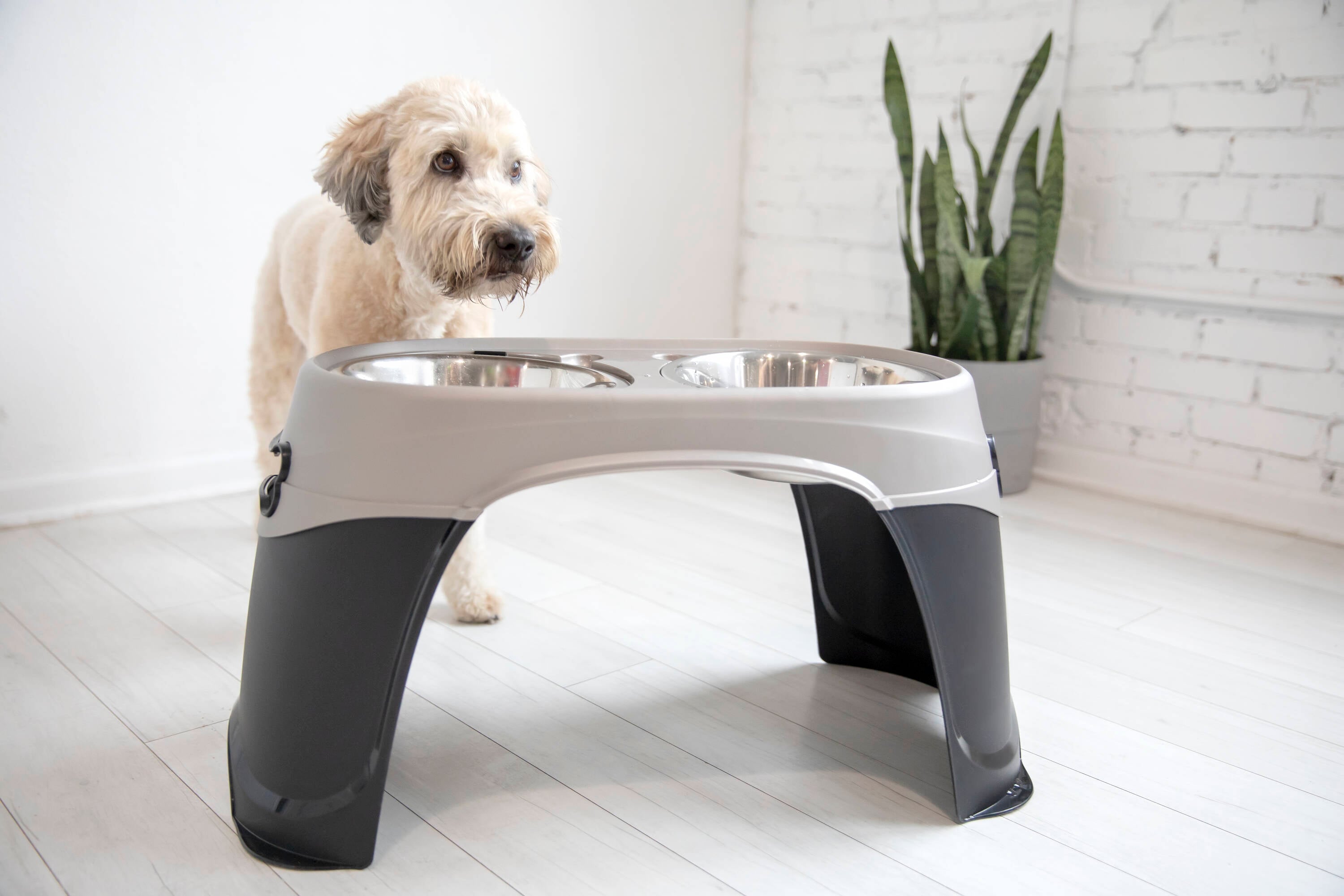 Petmate 23479 Pet-Bowls - View #4