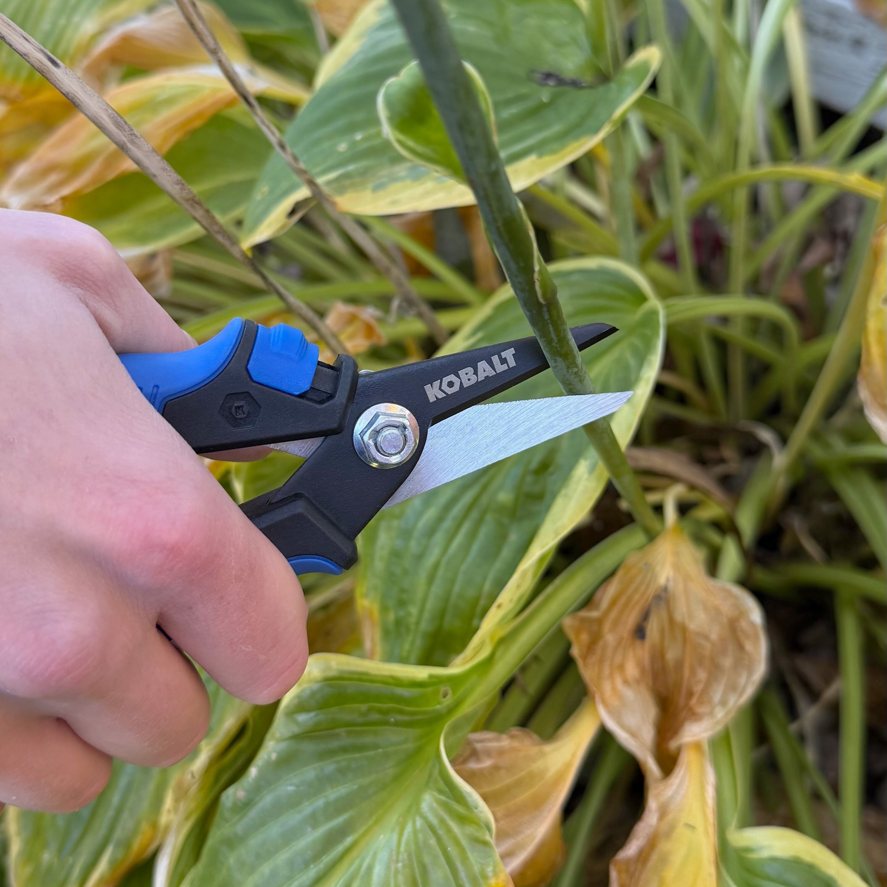 Kobalt 05-2017-100 Hand-Pruners - View #7