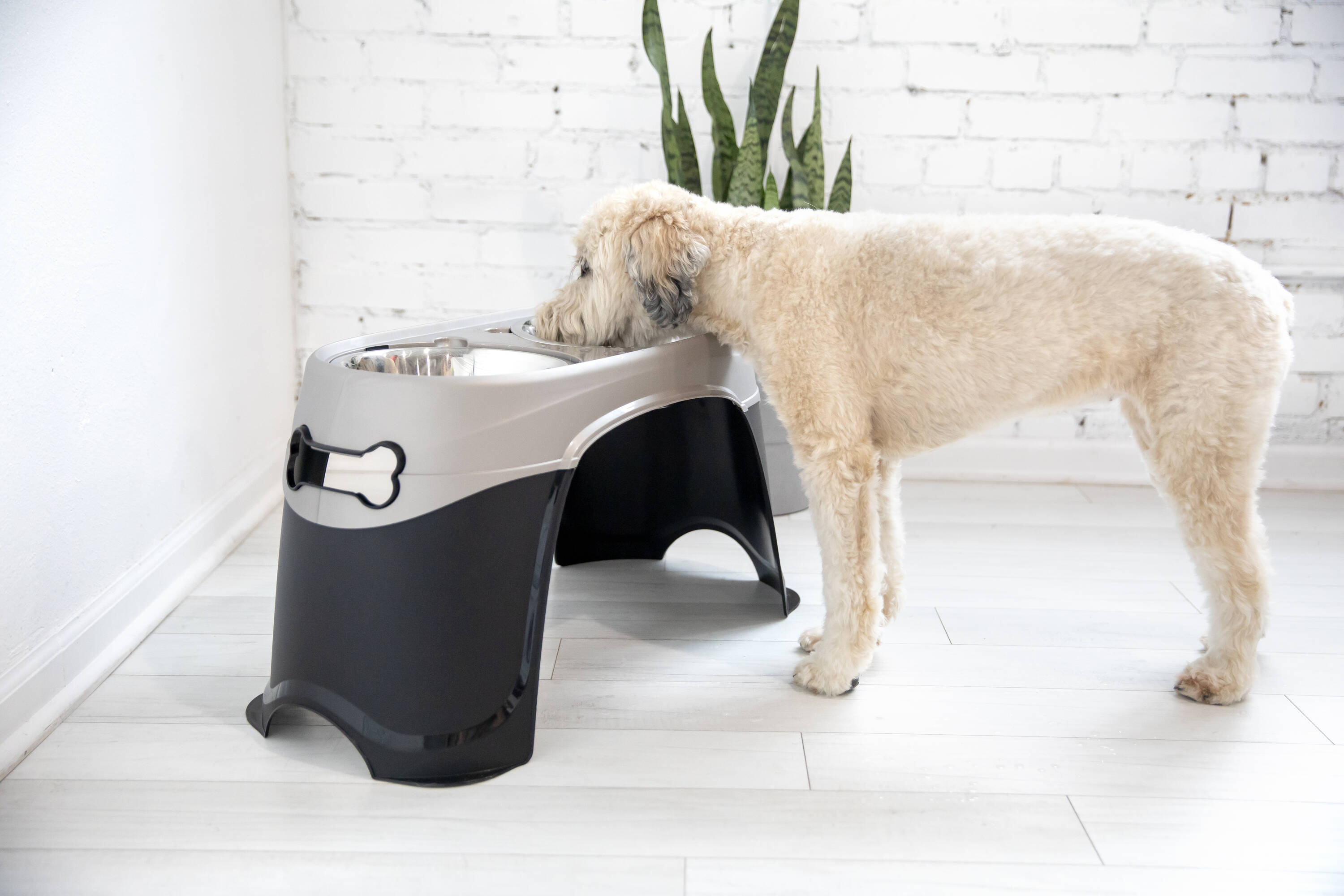 Petmate 23479 Pet-Bowls - View #6
