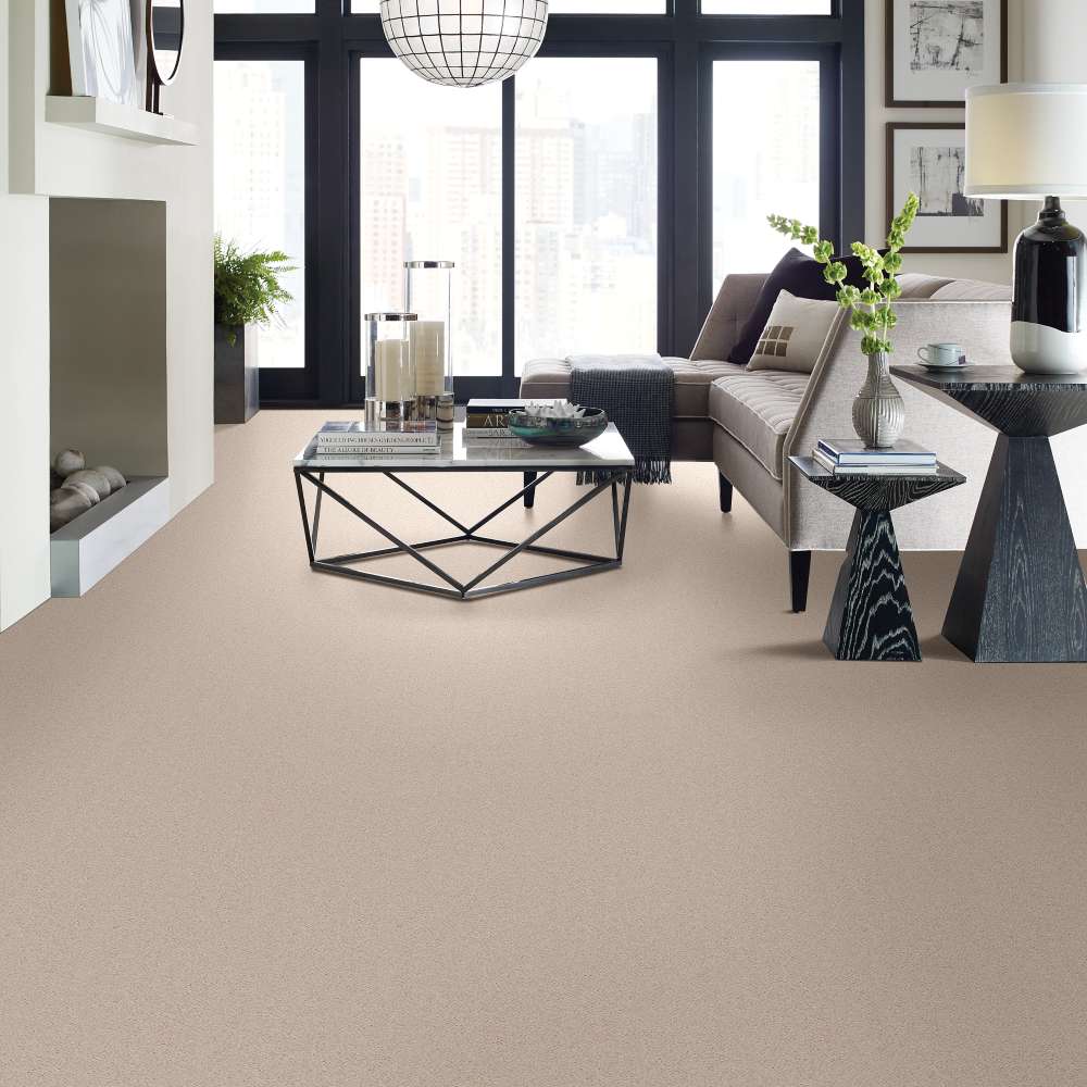STAINMASTER 7L791-125-SAMP Carpet-Samples - View #3