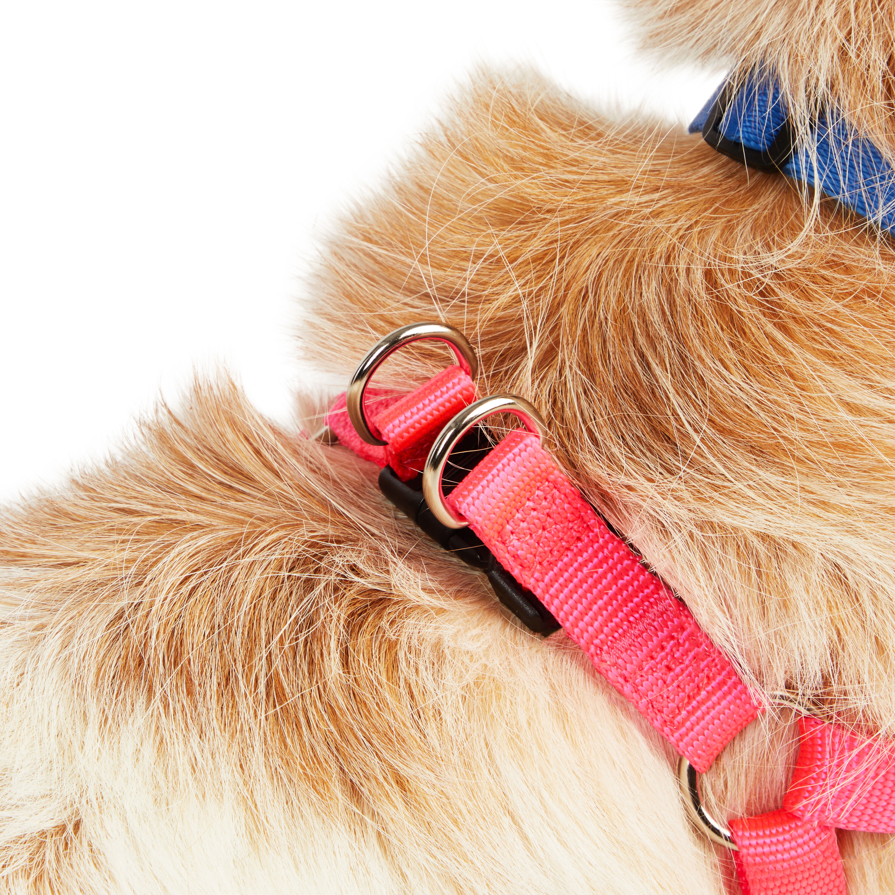 Youly 3710235 Dog-Collars-Harnesses - View #6