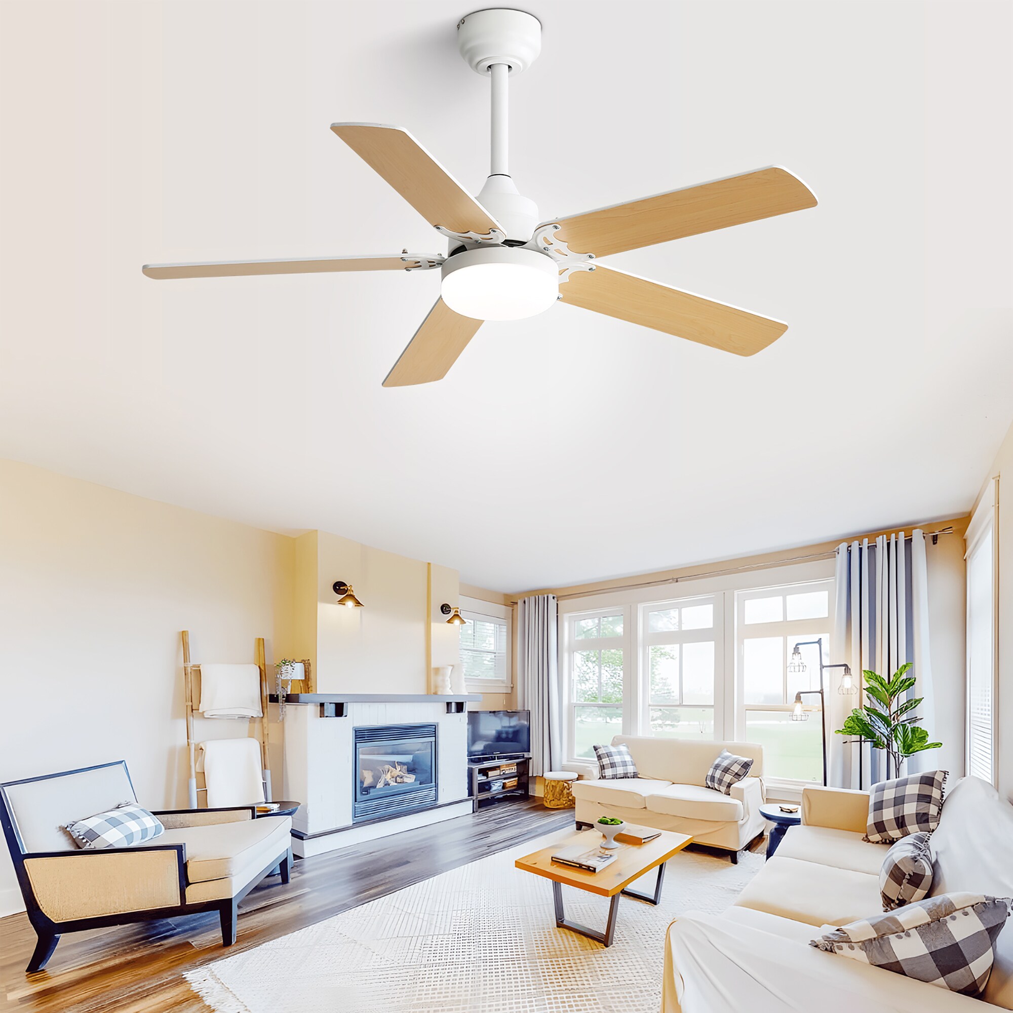 Fun Orange FUN25CF05 Ceiling-Fans - View #3