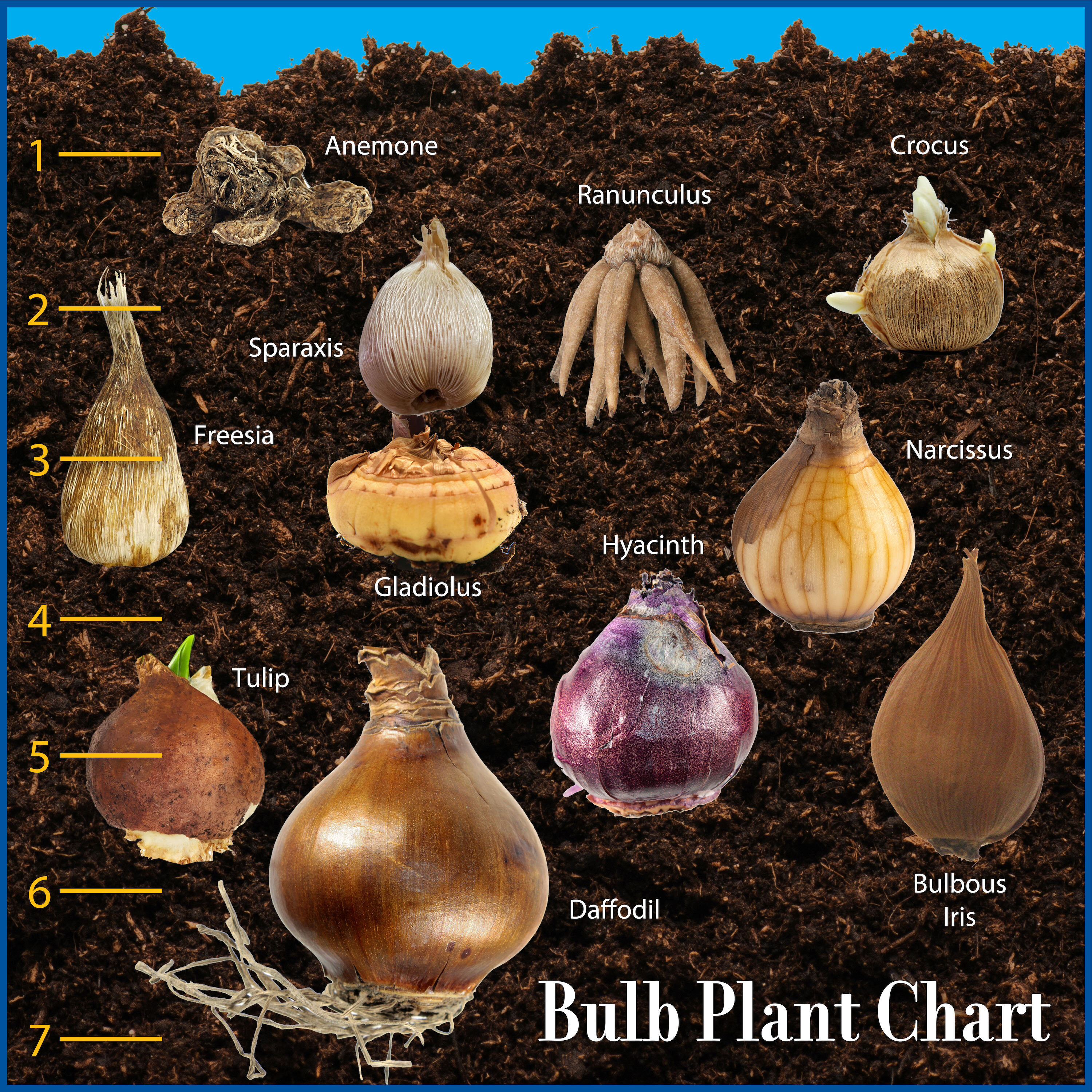 Lilly Miller 2267170000 Plant-Food - View #10