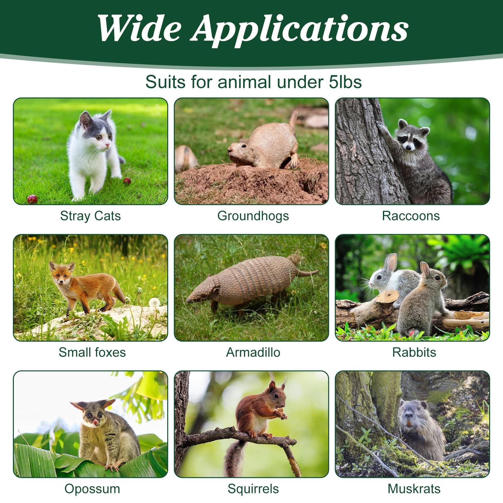 Oyezvary LOZ0711O048 Animal-Rodent-Control - View #4