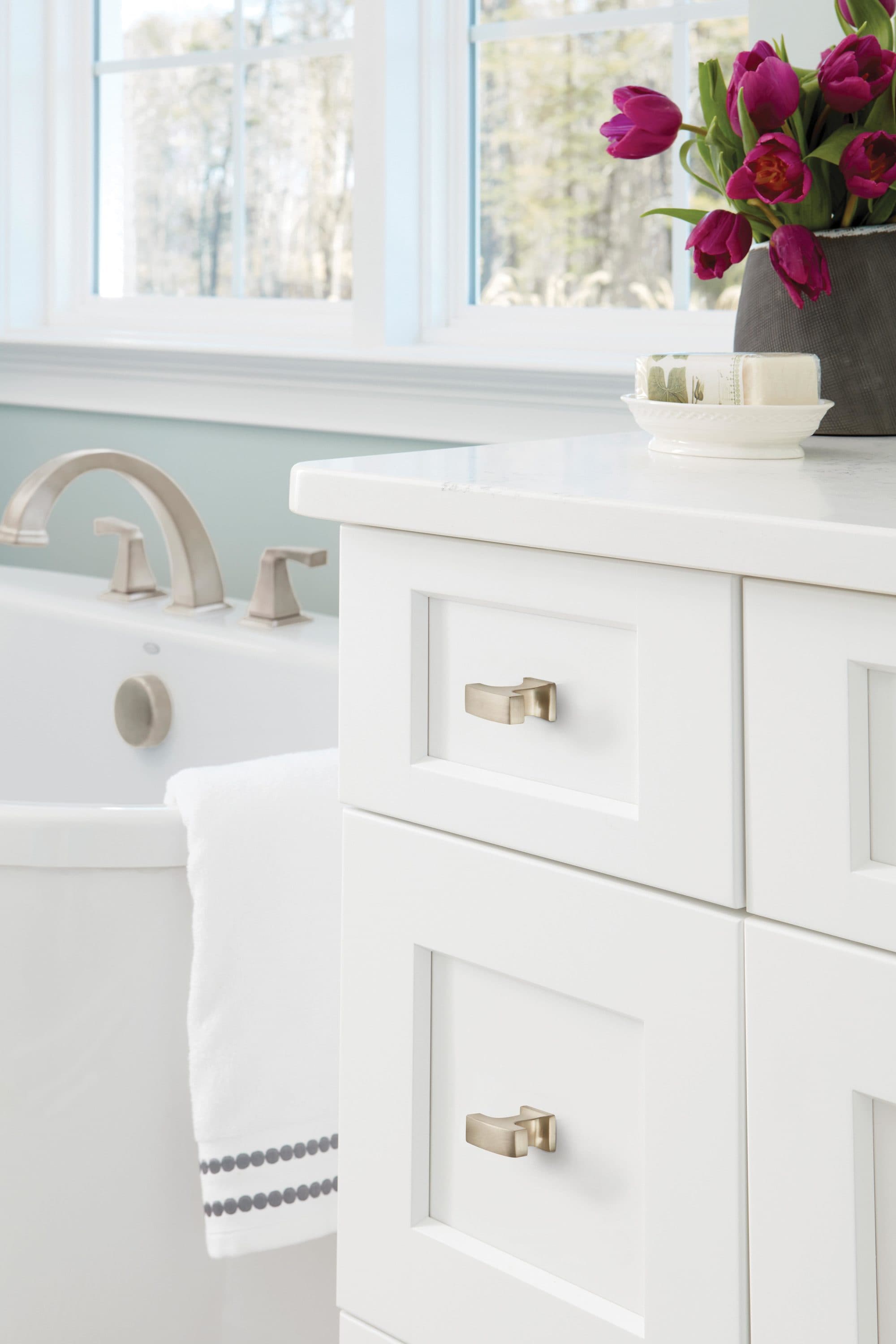 Brushed Nickel T-Handle Cabinet Knob with Mounting Hardware
