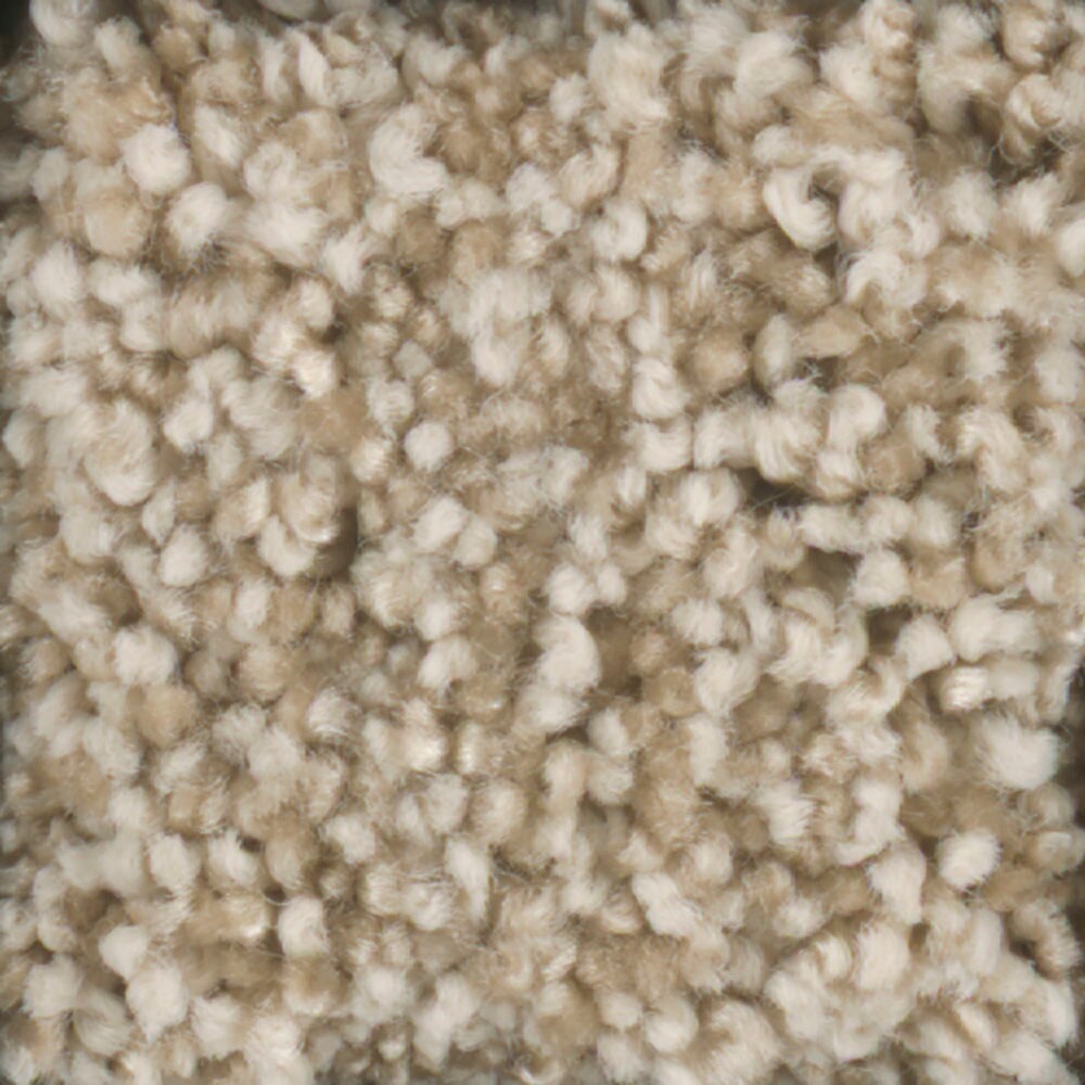 STAINMASTER 7L61900721 Signature Dynamic Beauty 3 Tee Pee Textured Interior Carpet