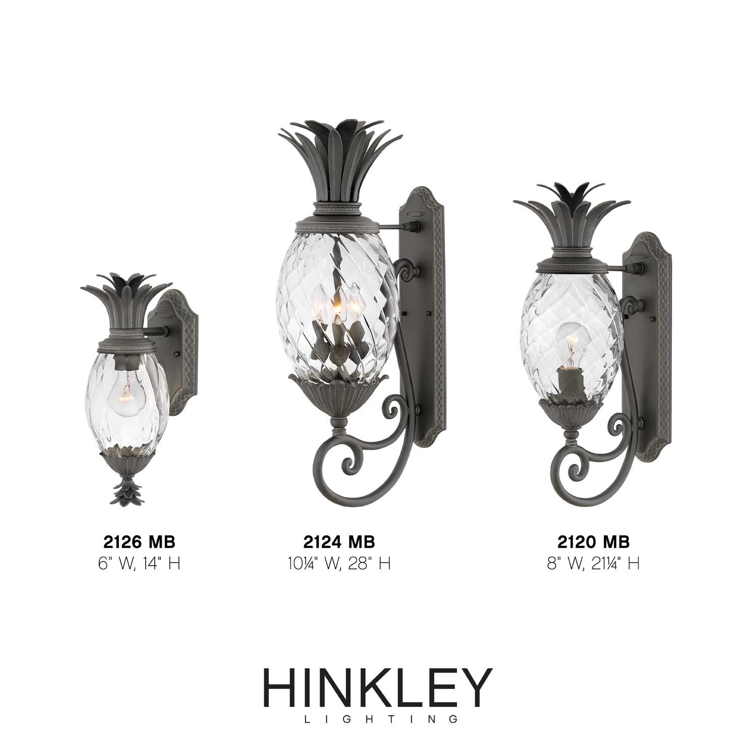 Hinkley 2124MB Outdoor-Wall-Lighting - View #5