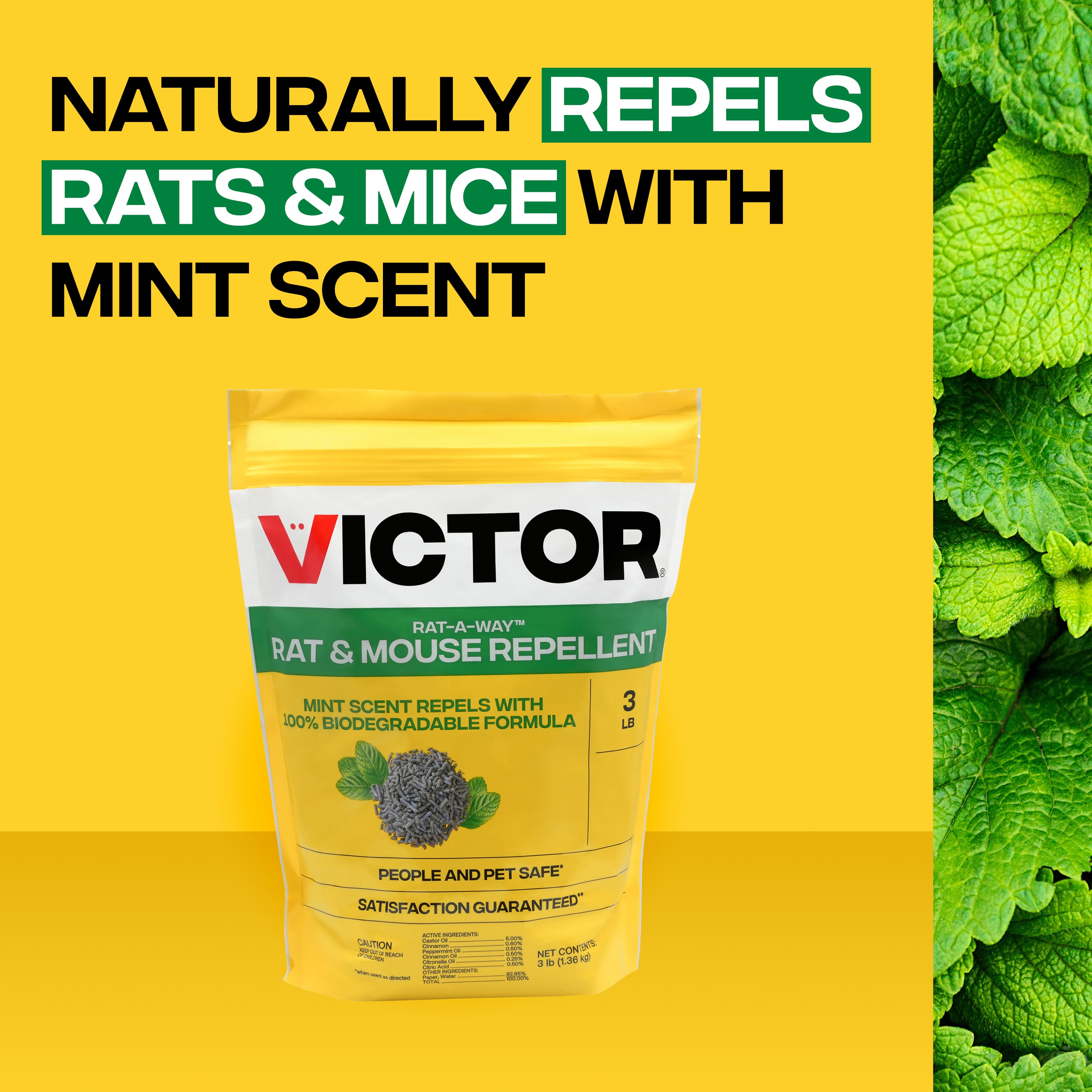 Victor M807 Animal-Rodent-Control - View #5
