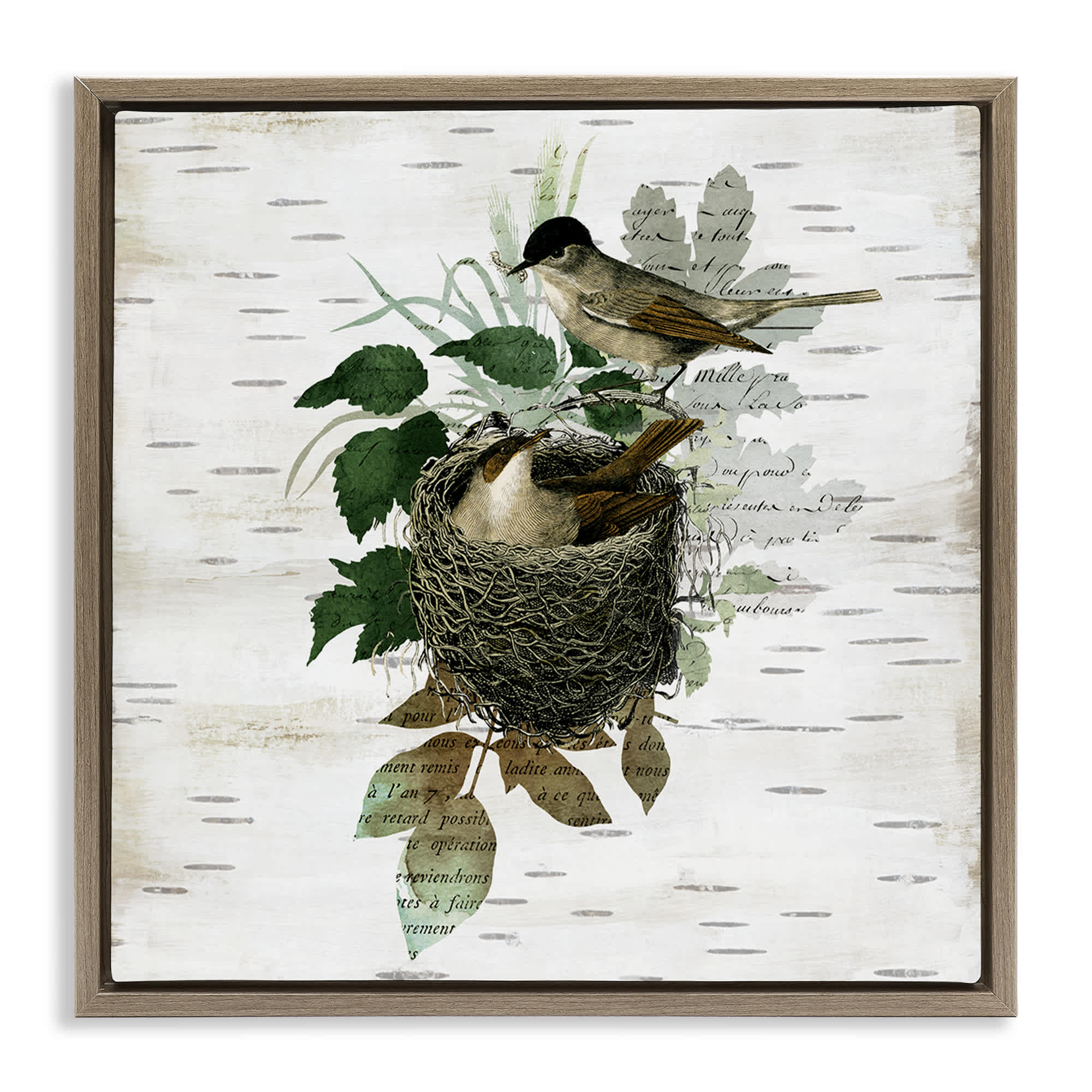 Stupell Industries BS-204-FFE-24X24 Birds in Vintage Nest Brown Framed Floater Canvas Wall Art By Susan Arnot 25 x 25