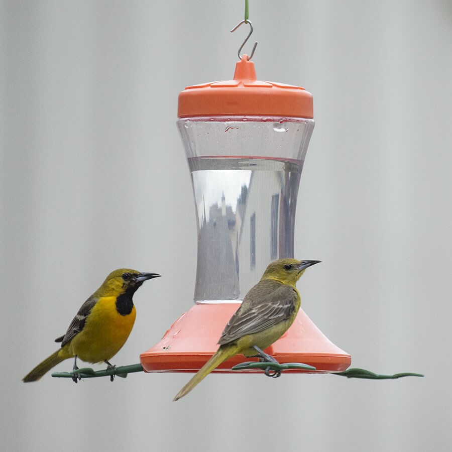 Perky-Pet 466-2 Bird-Feeders - View #6