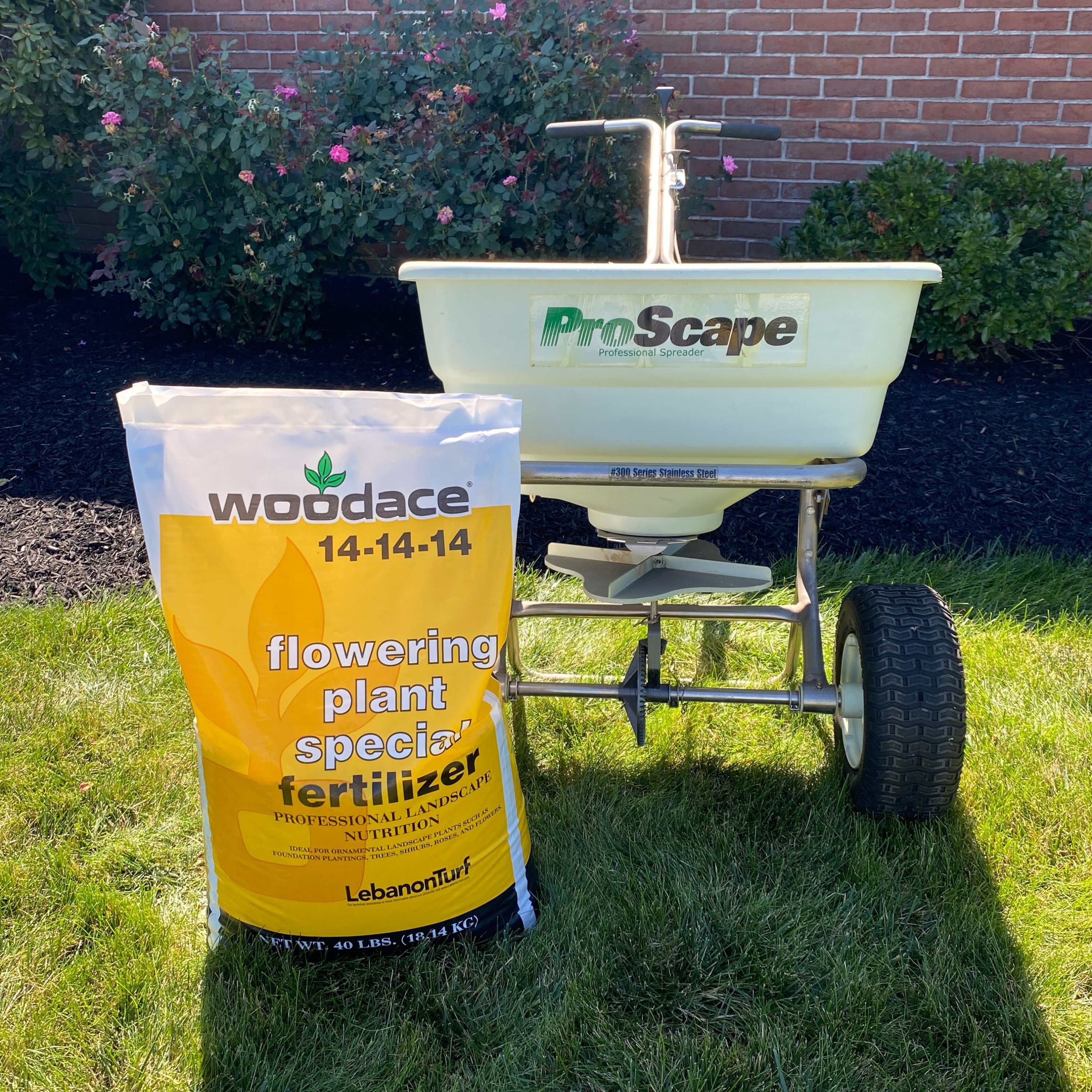 Woodace 2156360 Plant-Food - View #6