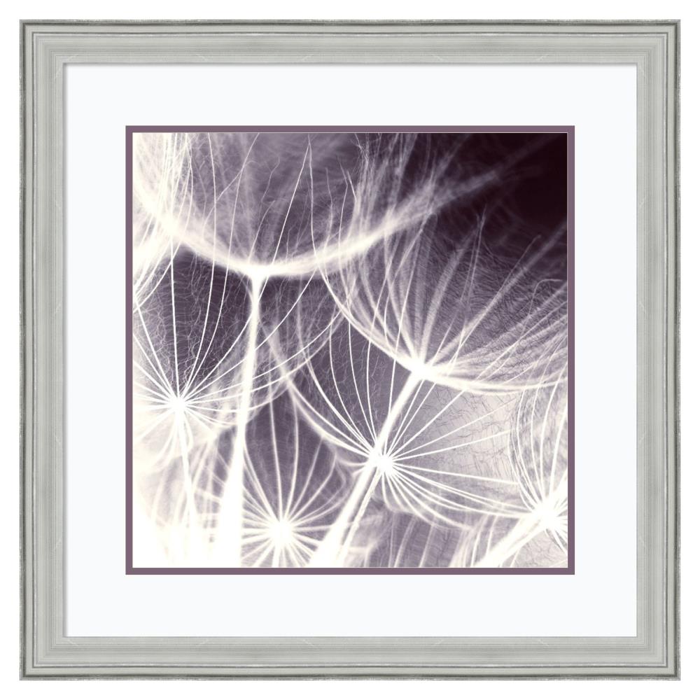 Amanti Art Silver Wood Framed 27-in H x 27-in W Photography Paper