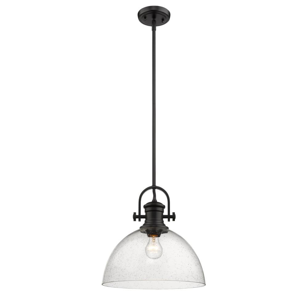 Black Steel and Glass Transitional Indoor/Outdoor Pendant Light