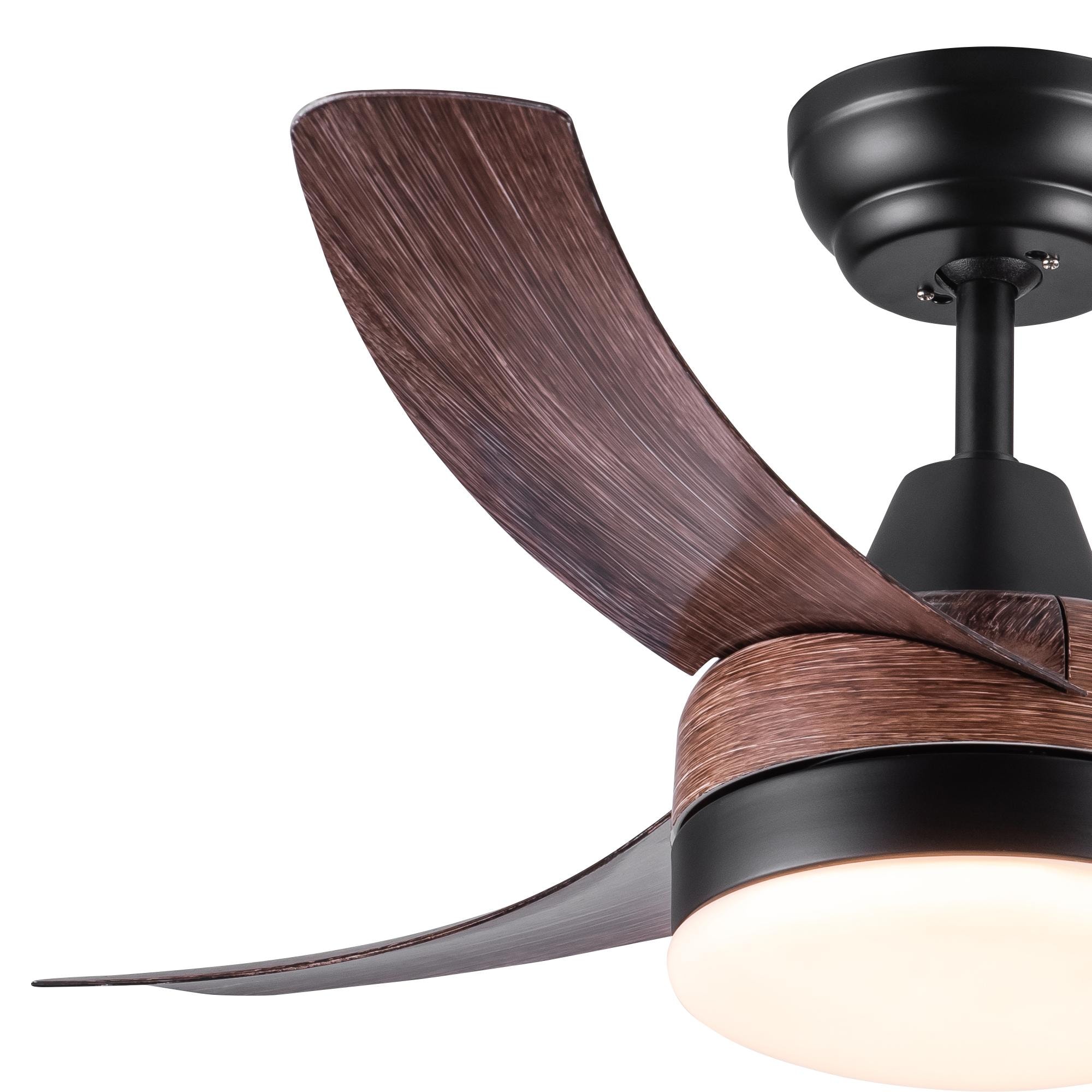 Bayfeve BFYH-5960 Ceiling-Fans - View #4