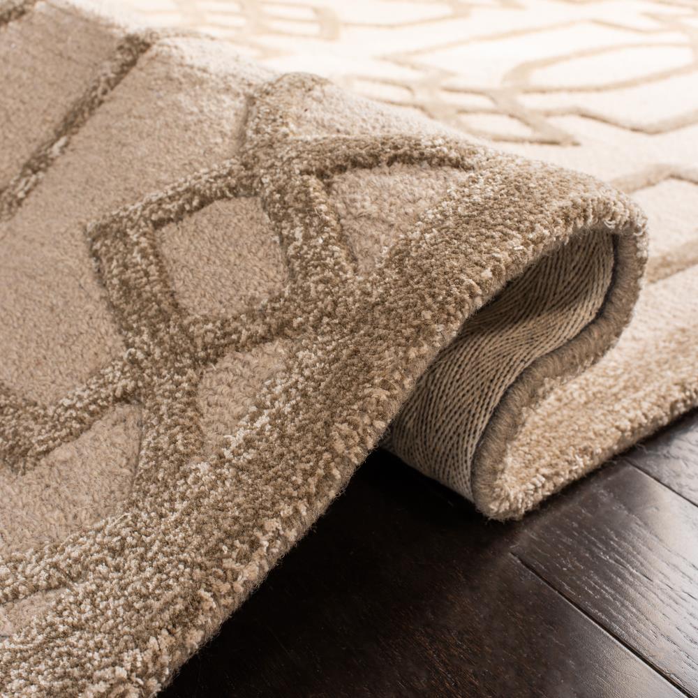 Safavieh BEL138A-5R rugs - View #5