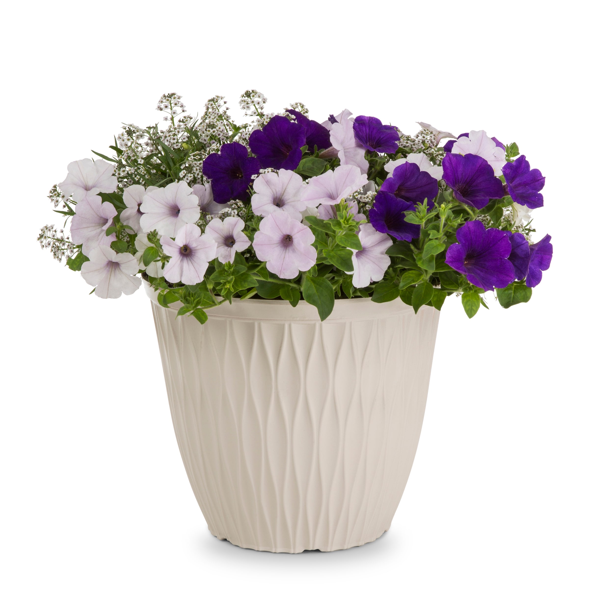 Lowe's NURSERY Multicolor Texas 2-Step in 3 Gallon(s) Planter