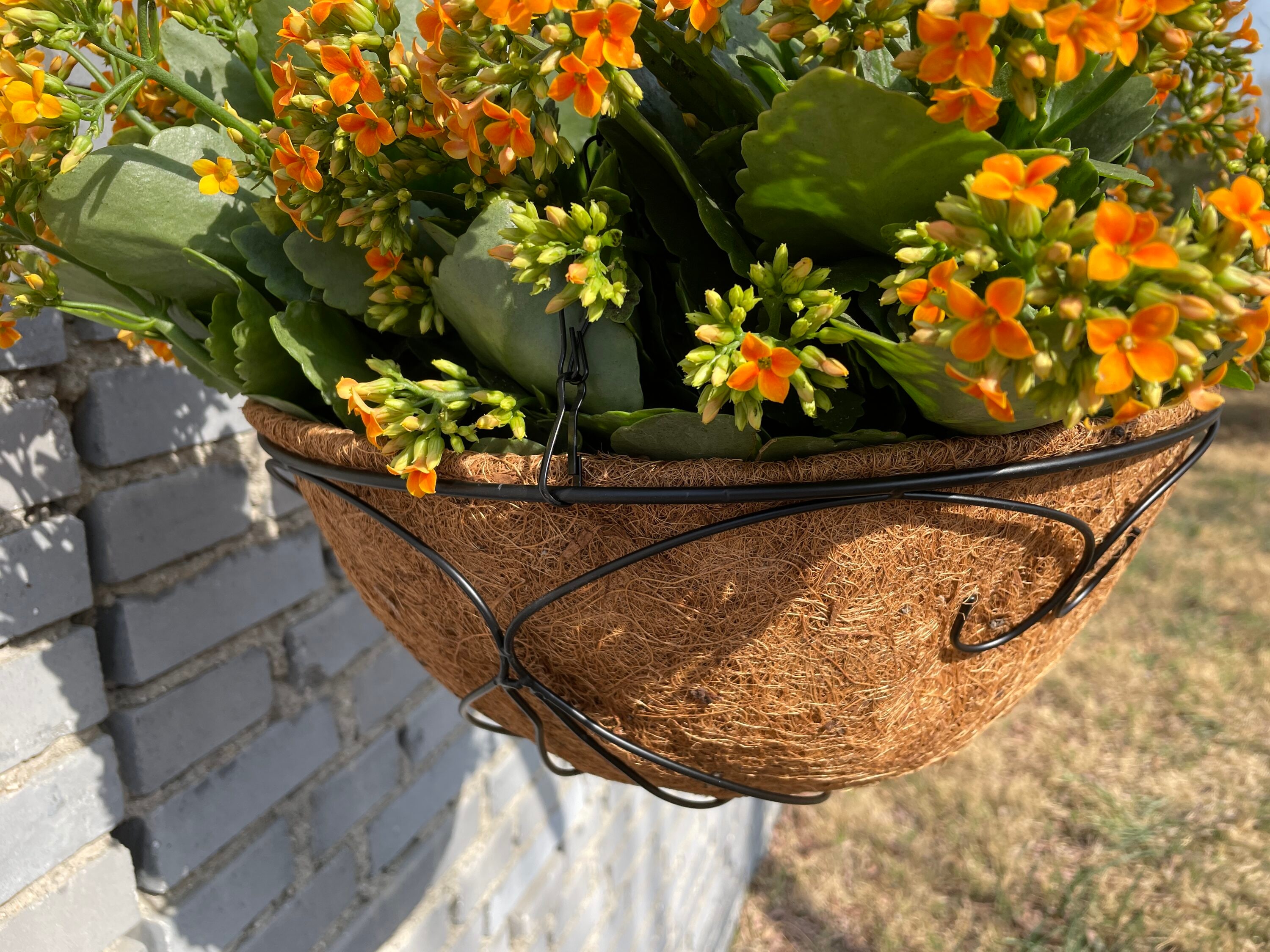 Style Selections LWP033 Planter-Window-Box - View #4