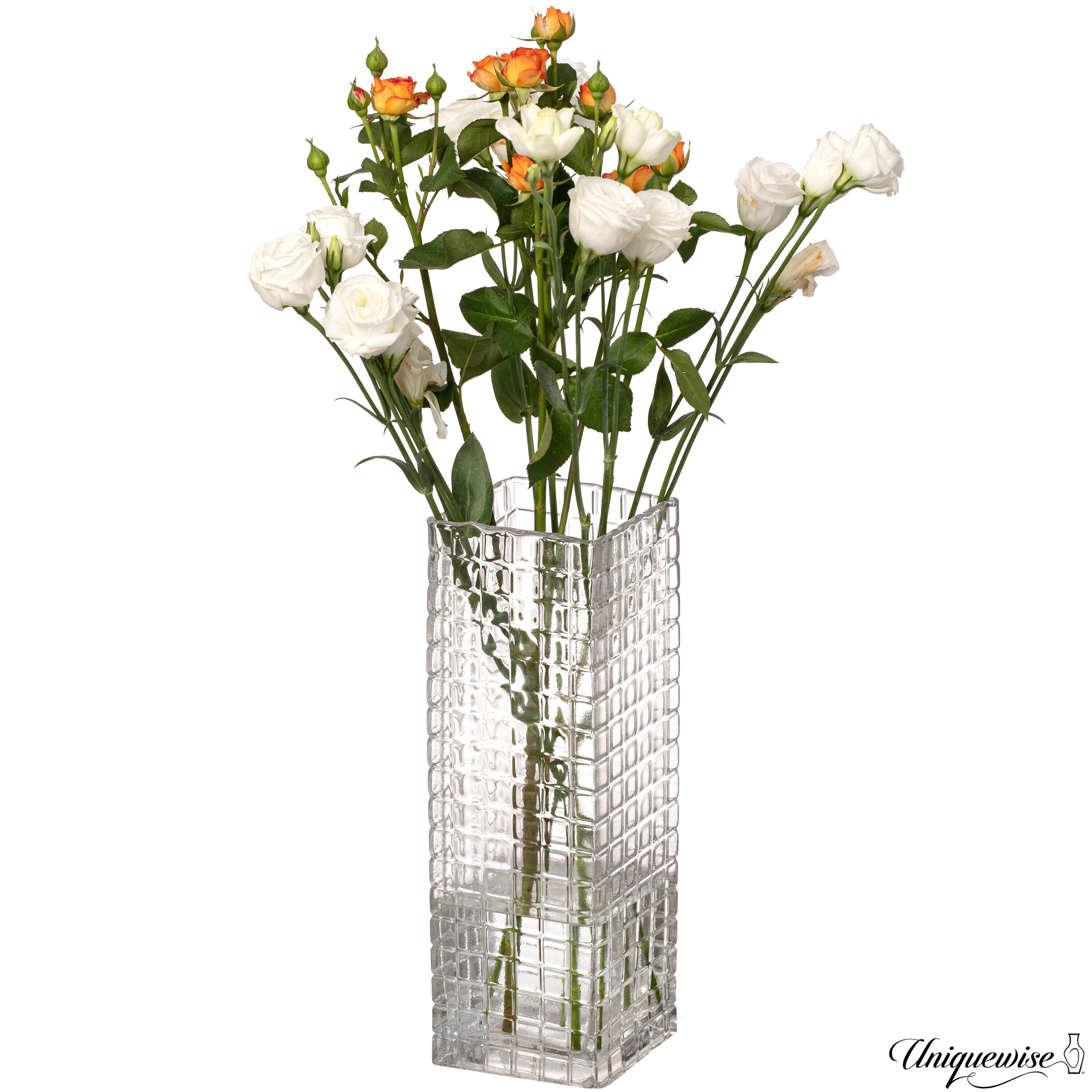 Uniquewise QI004738.CR.L Clear Glass Modern Vase
