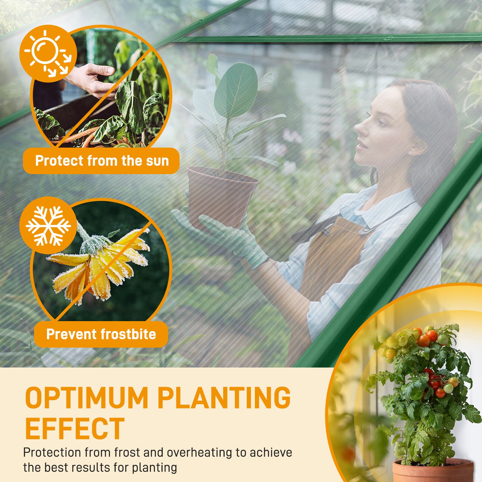 Winado LO1G57000943+44 greenhouses - View #5