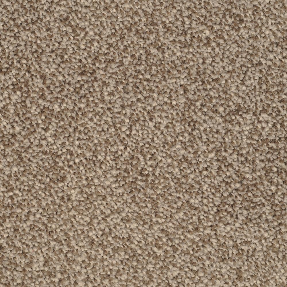 STAINMASTER 4597-128S (Sample) Signature Pleasant Point Pebbled Shore Textured Carpet
