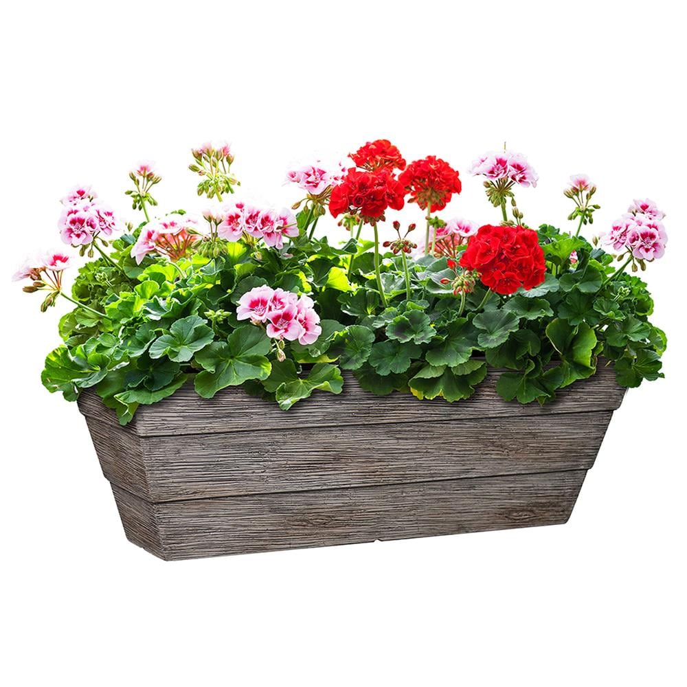 allen + roth 22.48-in W x 8.15-in H Grey Resin Planter at Lowes.com