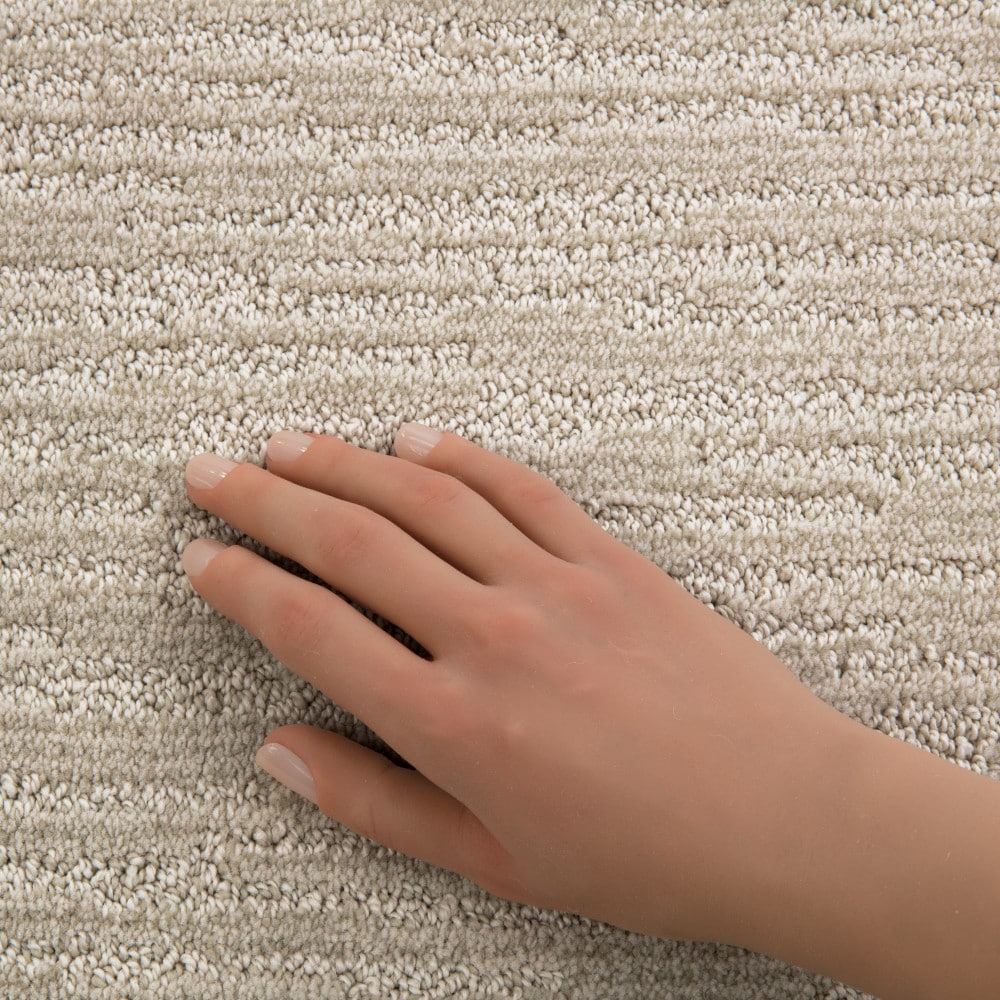 STAINMASTER PetProtect 7L94800101 Carpet-Panel - View #4