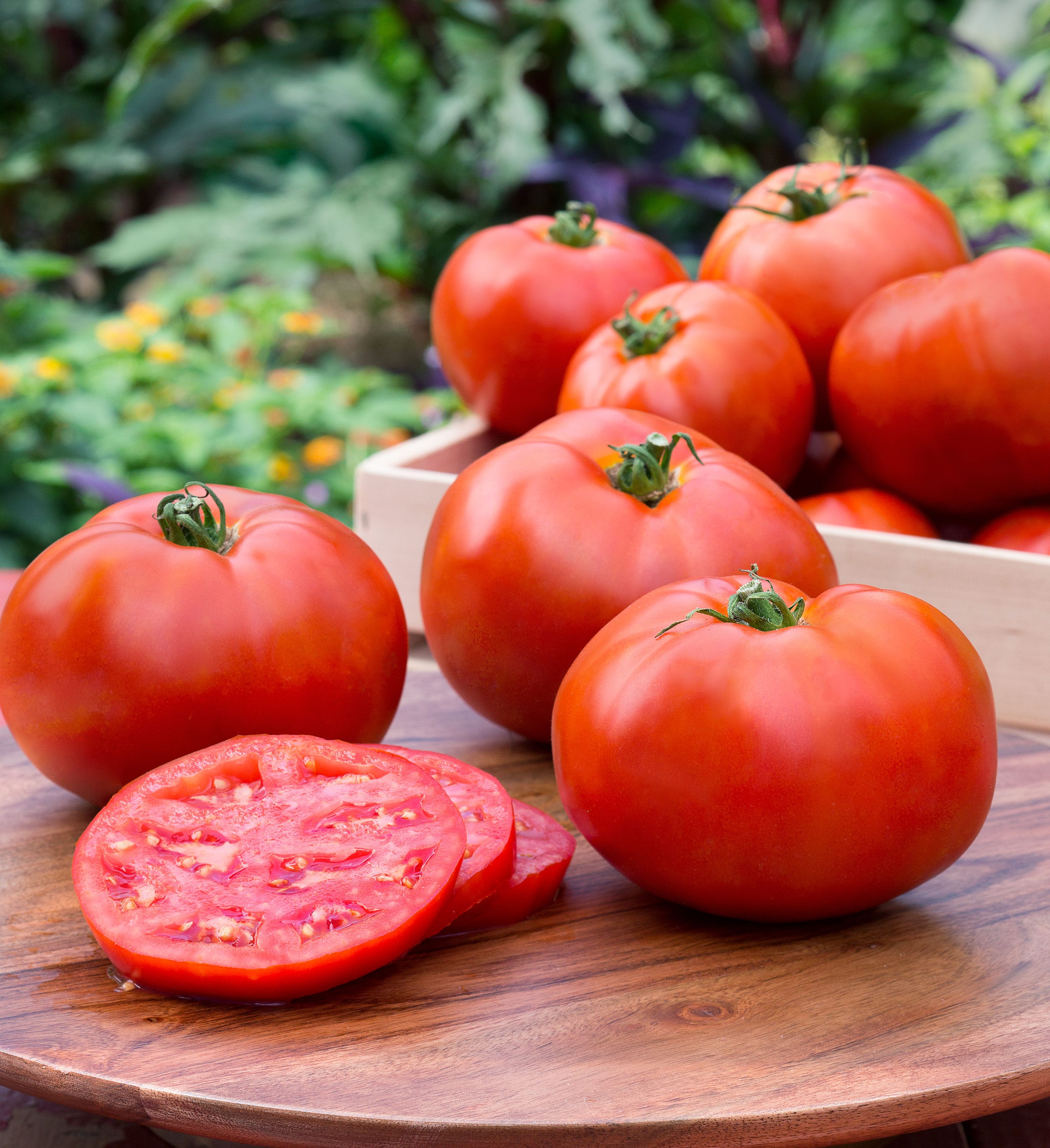 Bonnie Plants 16-331069 Vegetable-Plants - View #4