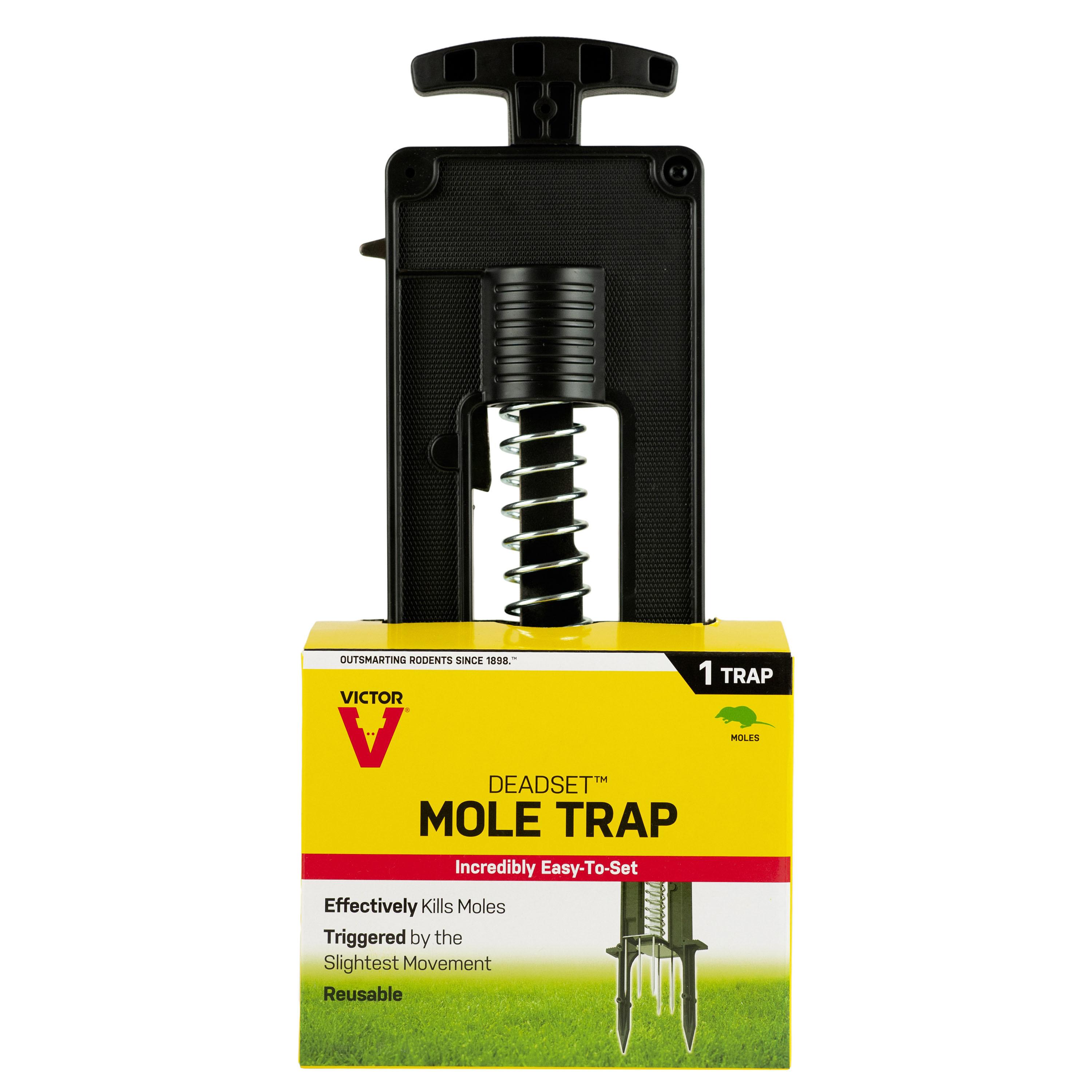 4 Pack Mole Traps That Kill Best, Mole Trap Easy to Set, Galvanized Steel  Scissor Mole Traps for Lawns, Reusable Quick Capture Gopher Vole Traps